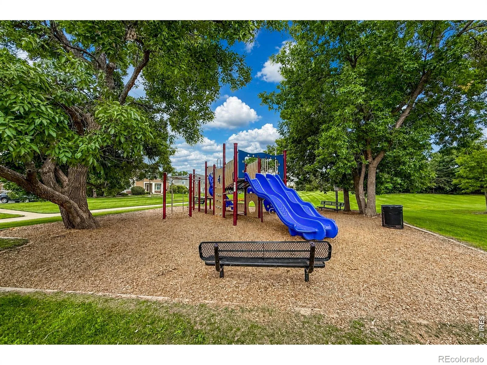 804 Summer Hawk Drive #8104 #8000 Longmont CO 80504 | MLS #RECIR1064259 08082026195630 1600 46