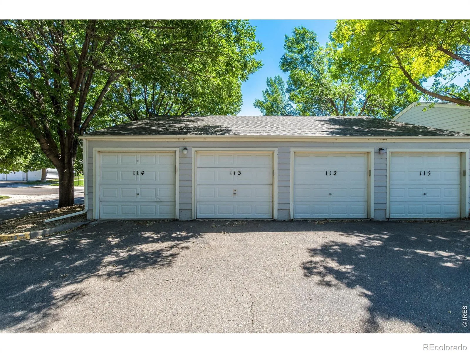 1419 Red Mountain Drive #113 Longmont CO 80504 | MLS #RECIR1064421 07172026005635 1600 35