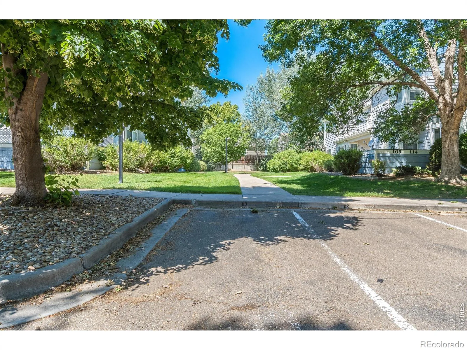 1419 Red Mountain Drive #113 Longmont CO 80504 | MLS #RECIR1064421 07172026005635 1600 36