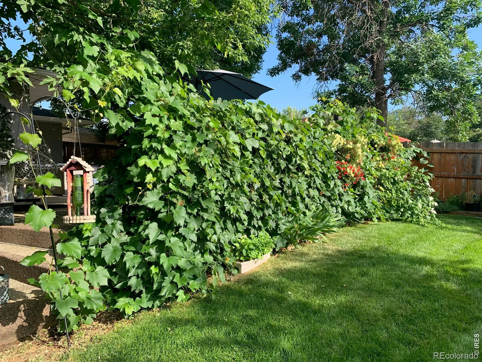 5875 S Elati Street Littleton CO 80120 | MLS #RECIR1064430 07172026031731 1600 28