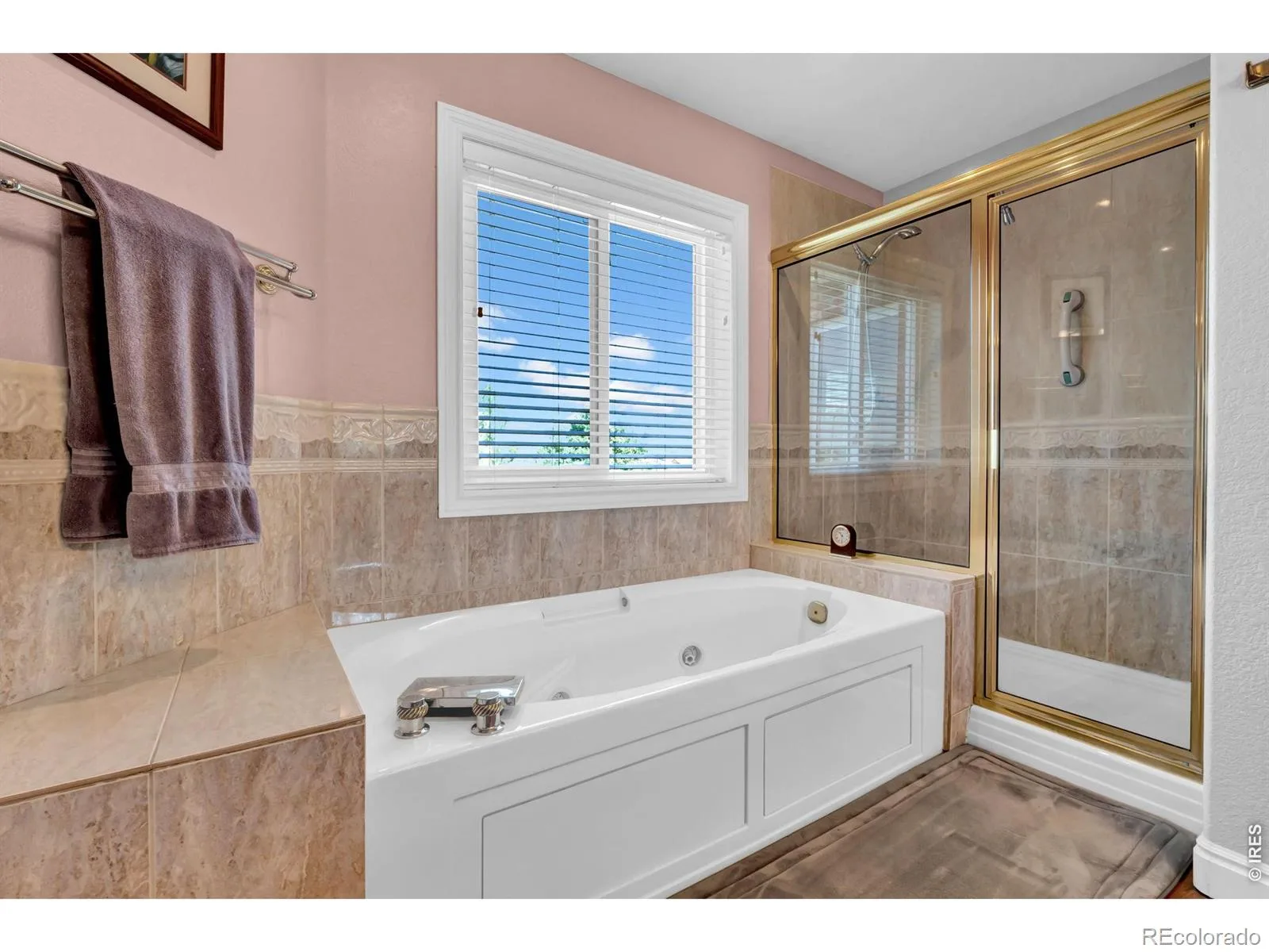 1687 Radcliffe Place Longmont CO 80503 | MLS #RECIR1064447 07202026200807 1600 31
