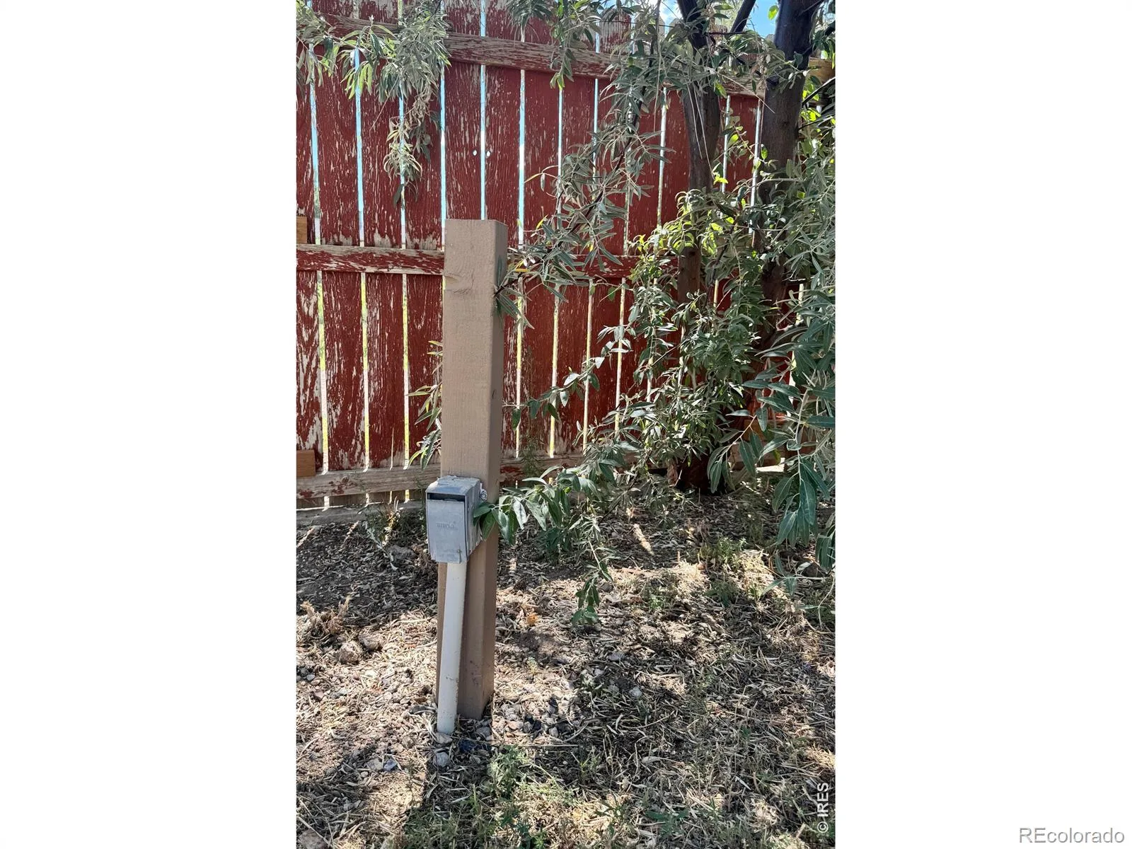 131 Wooster Drive Firestone CO 80520 | MLS #RECIR1064571 08252026211616 1600 34