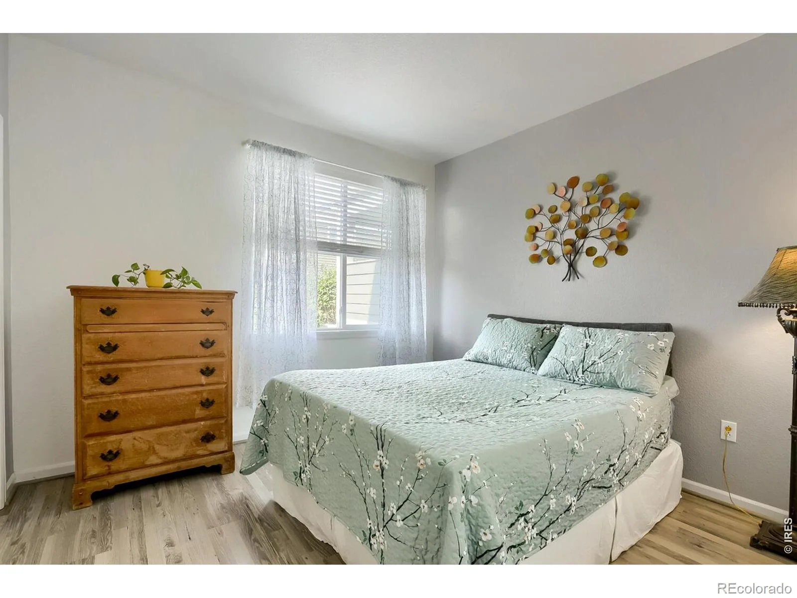 4501 Nelson Road #2101 Longmont CO 80503 | MLS #RECIR1064625 07202026155941 1600 6