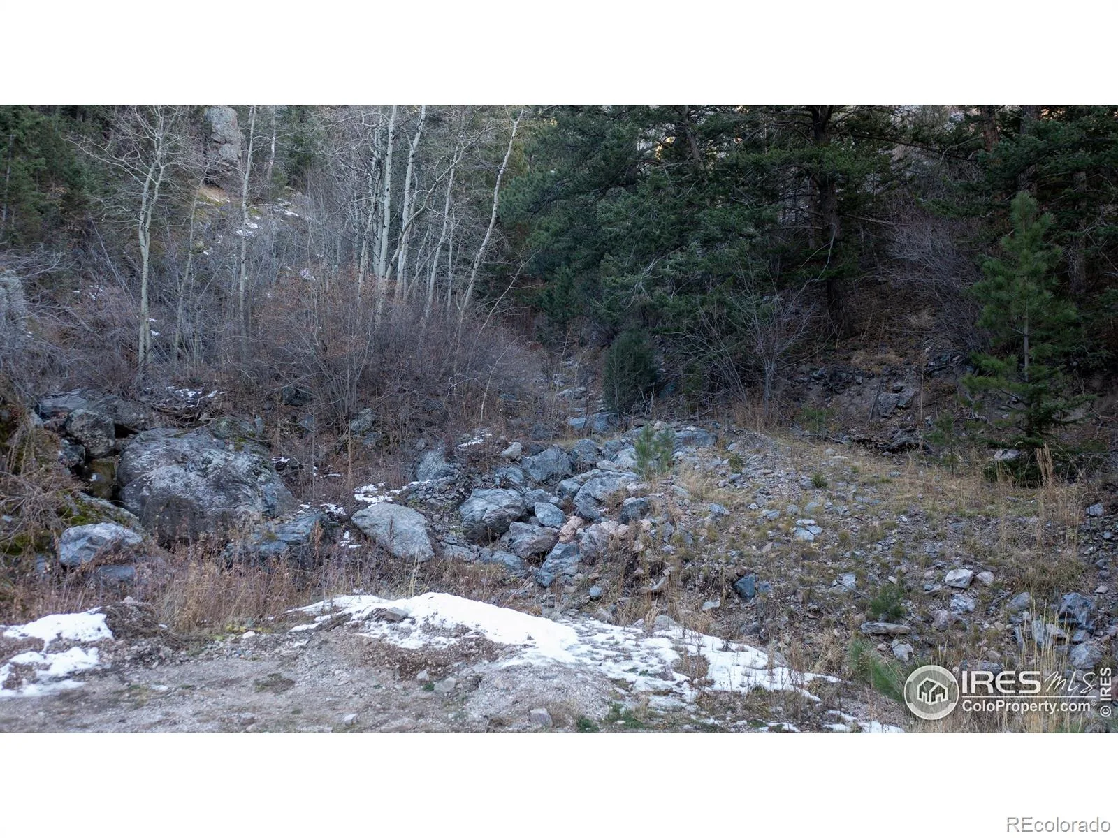 Lost Dove Trail Golden CO 80403 | MLS #RECIR1064848 07232026014329 1600 25