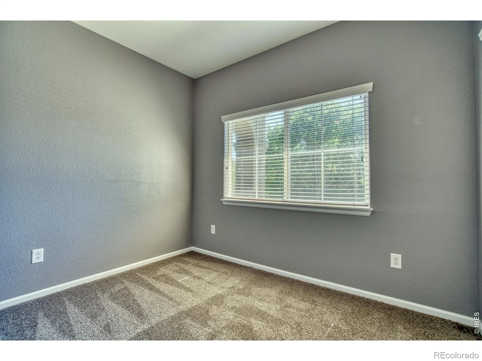 2239 Calais Drive #11B Longmont CO 80504 | MLS #RECIR1064850 08272026171815 1600 13