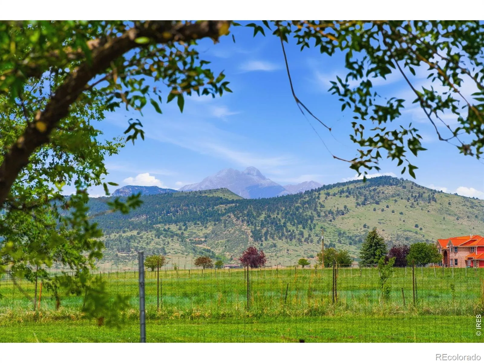 6541 Saint Vrain Road Longmont CO 80503 | MLS #RECIR1064884 07232026180803 1600 35