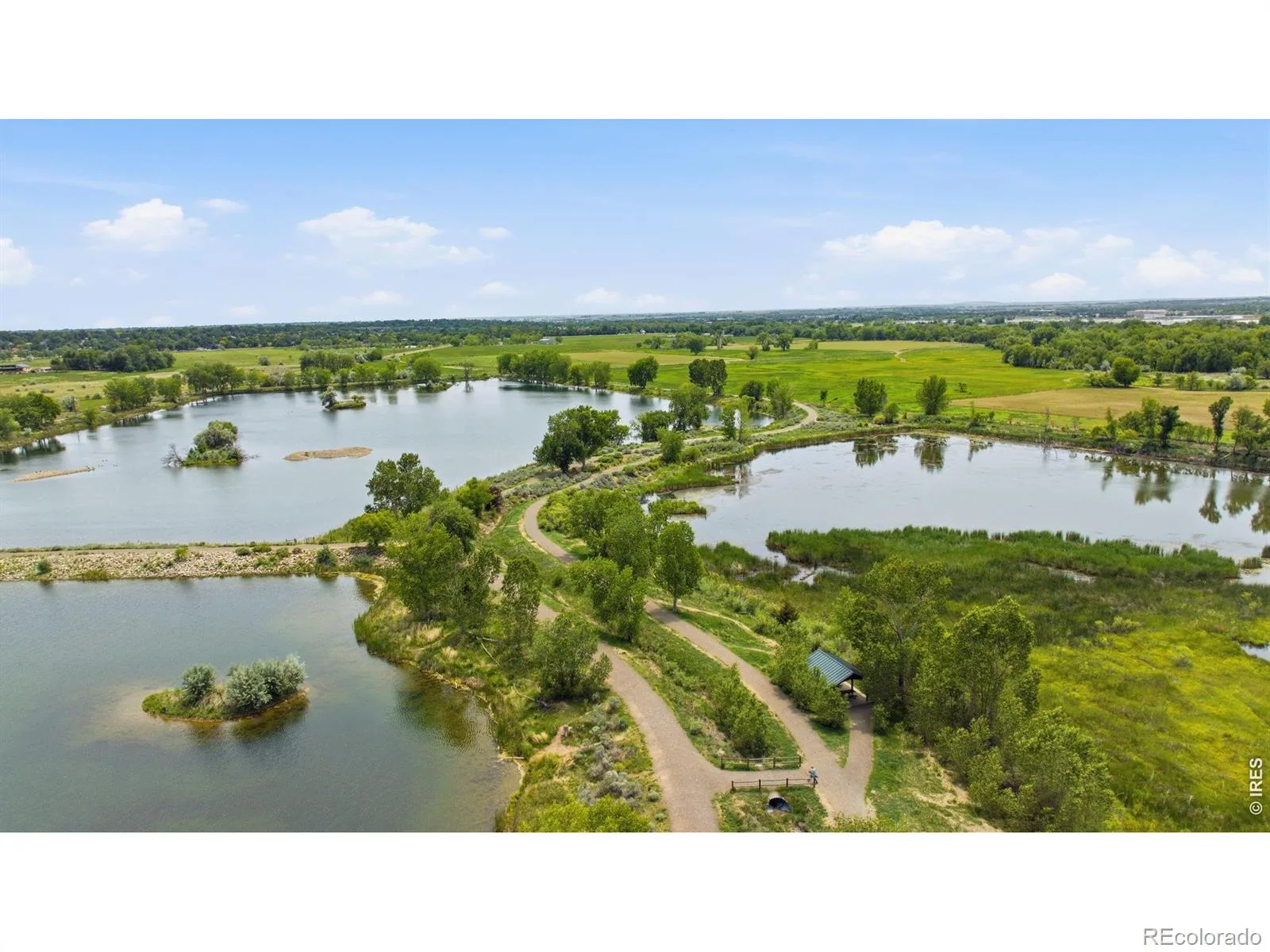 6541 Saint Vrain Road Longmont CO 80503 | MLS #RECIR1064884 07232026180803 1600 47