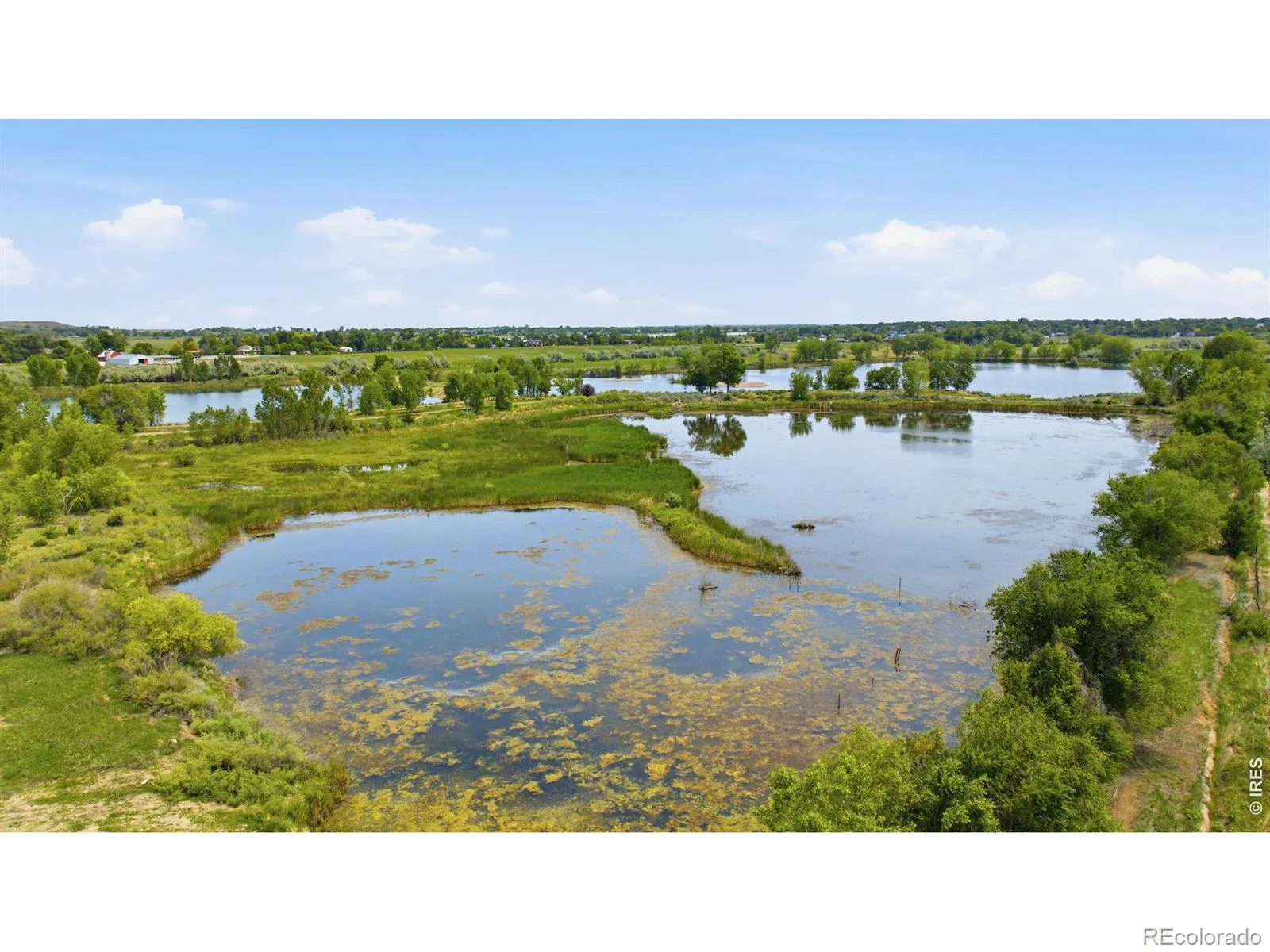 6541 Saint Vrain Road Longmont CO 80503 | MLS #RECIR1064884 07232026180803 1600 49