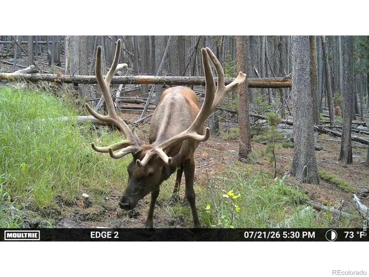 MLS #RECIR1064892 image #0