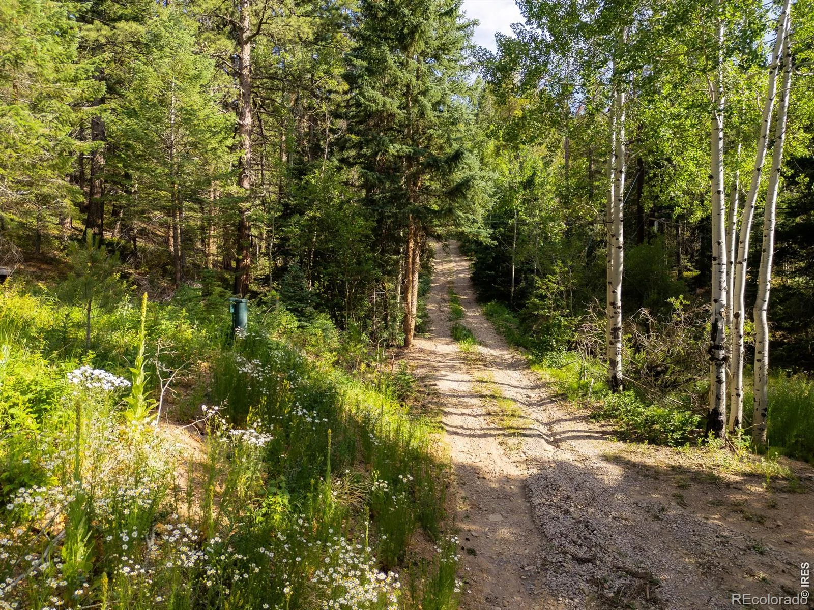 Twin Spruce Road Golden CO 80403 | MLS #RECIR1064892 07232026192004 1600 1