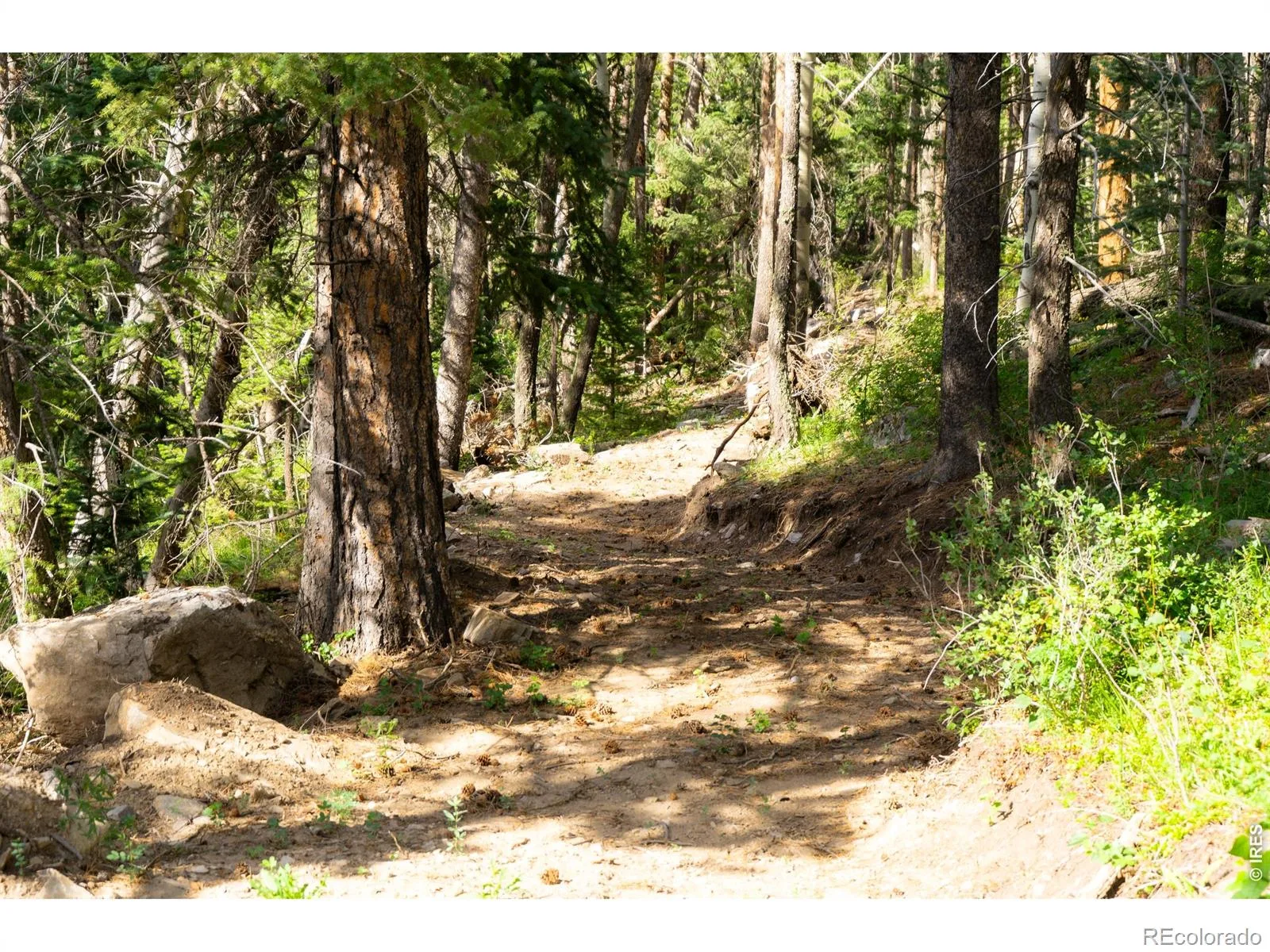 Twin Spruce Road Golden CO 80403 | MLS #RECIR1064892 07232026192004 1600 14