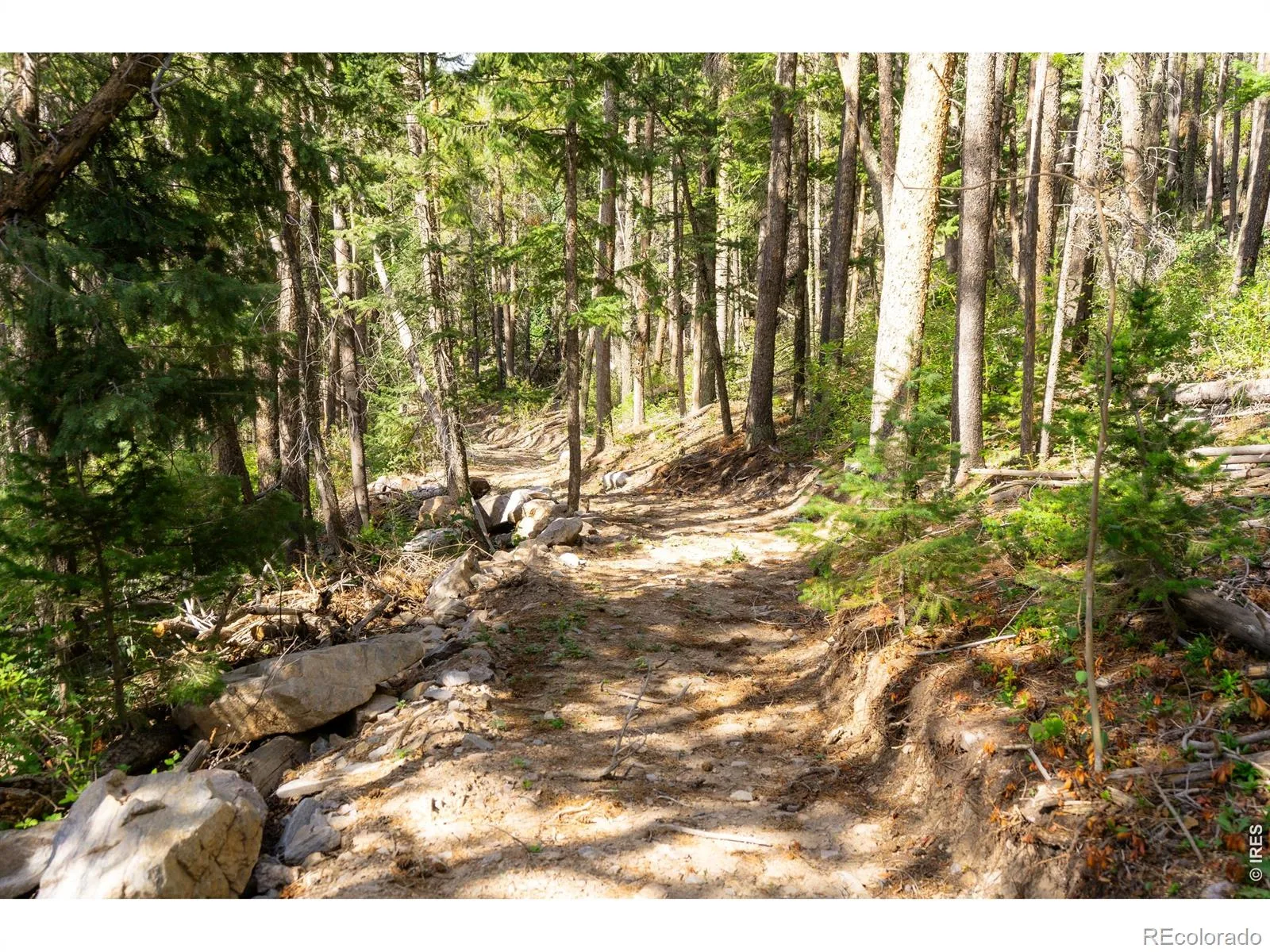 Twin Spruce Road Golden CO 80403 | MLS #RECIR1064892 07232026192004 1600 15