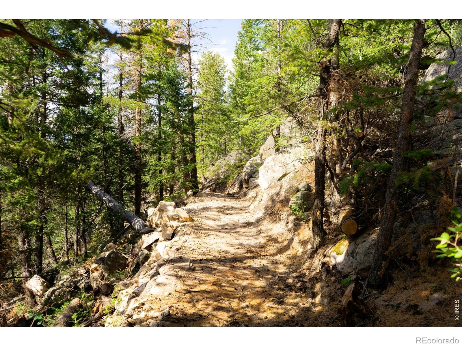 Twin Spruce Road Golden CO 80403 | MLS #RECIR1064892 07232026192004 1600 16