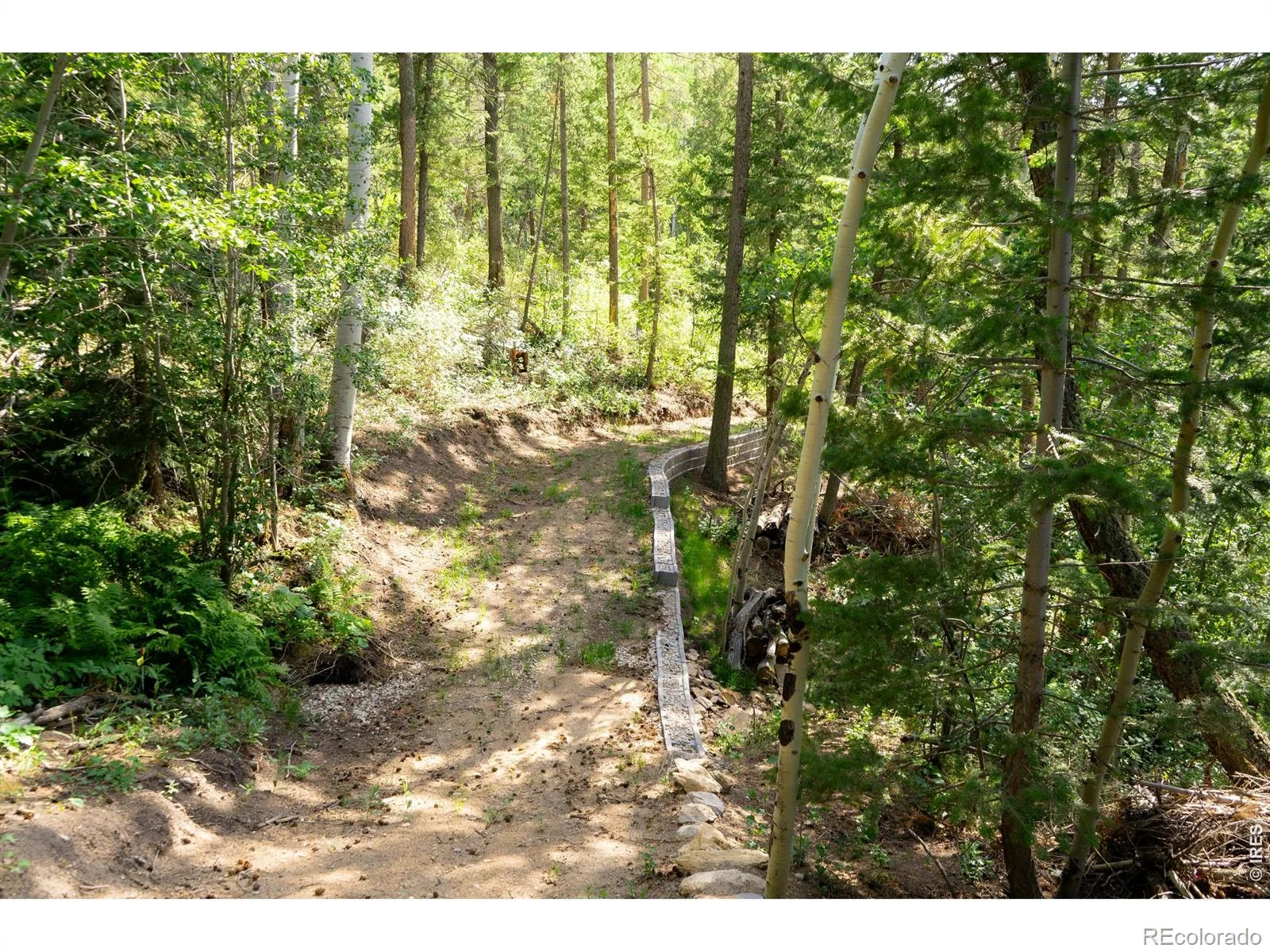 Twin Spruce Road Golden CO 80403 | MLS #RECIR1064892 07232026192004 1600 17
