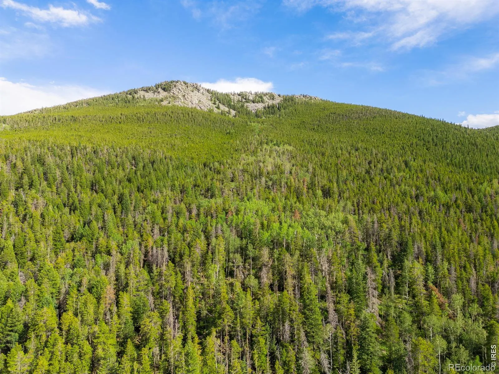 Twin Spruce Road Golden CO 80403 | MLS #RECIR1064892 07232026192004 1600 3