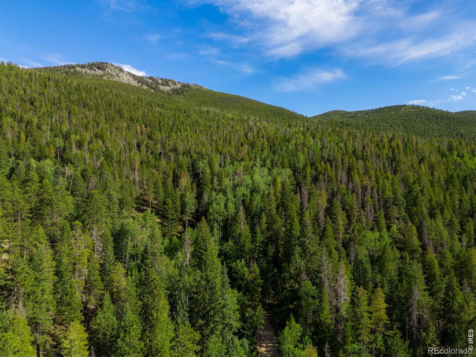 Twin Spruce Road Golden CO 80403 | MLS #RECIR1064892 07232026192004 1600 4