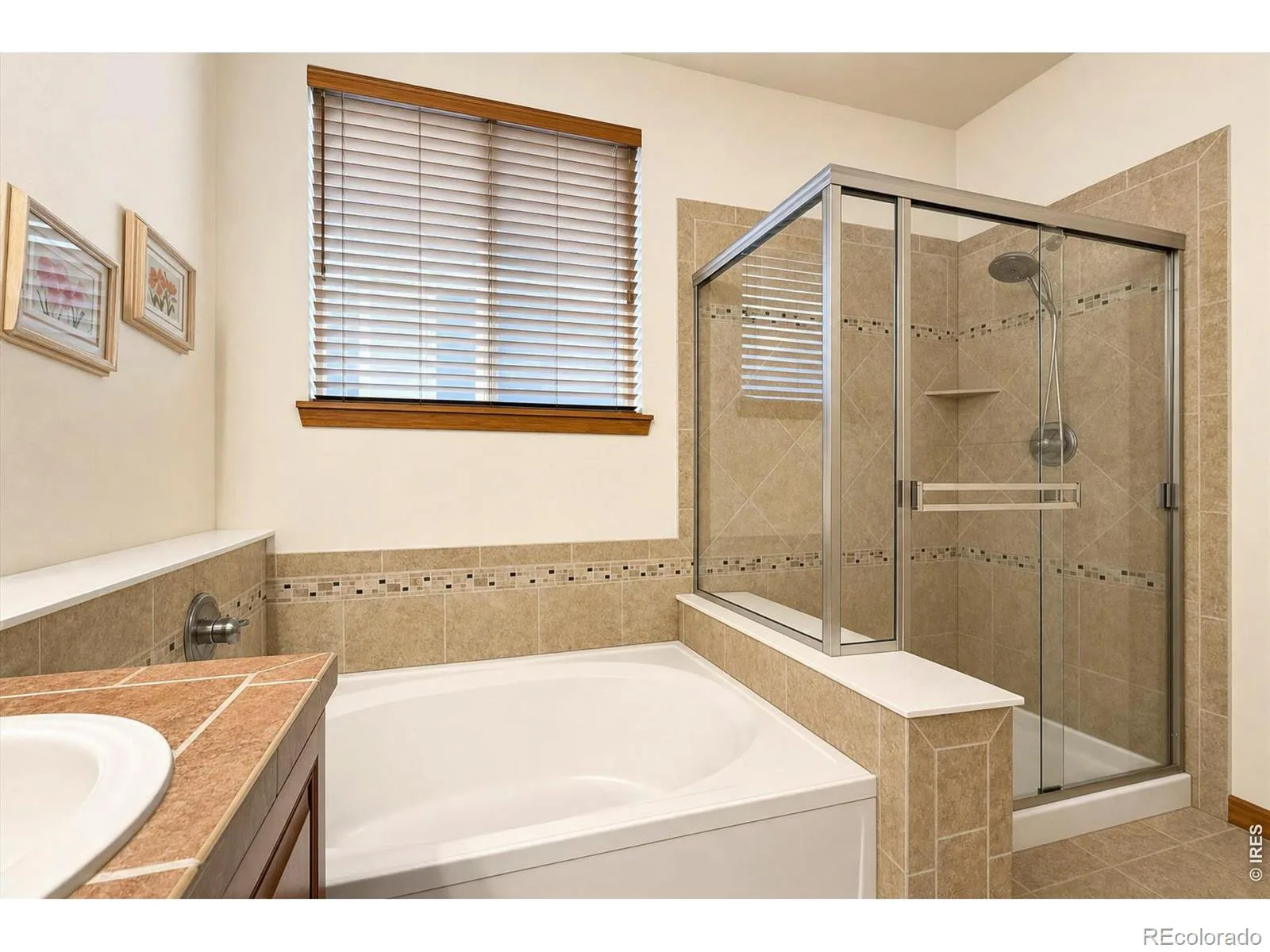 639 Summer Hawk Drive Longmont CO 80504 | MLS #RECIR1064971 07242026142024 1600 31