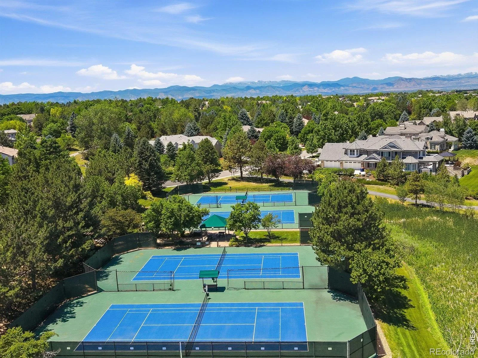 4053 E Iris Court Greenwood Village CO 80121 | MLS #RECIR1064995 07302026005548 1600 39