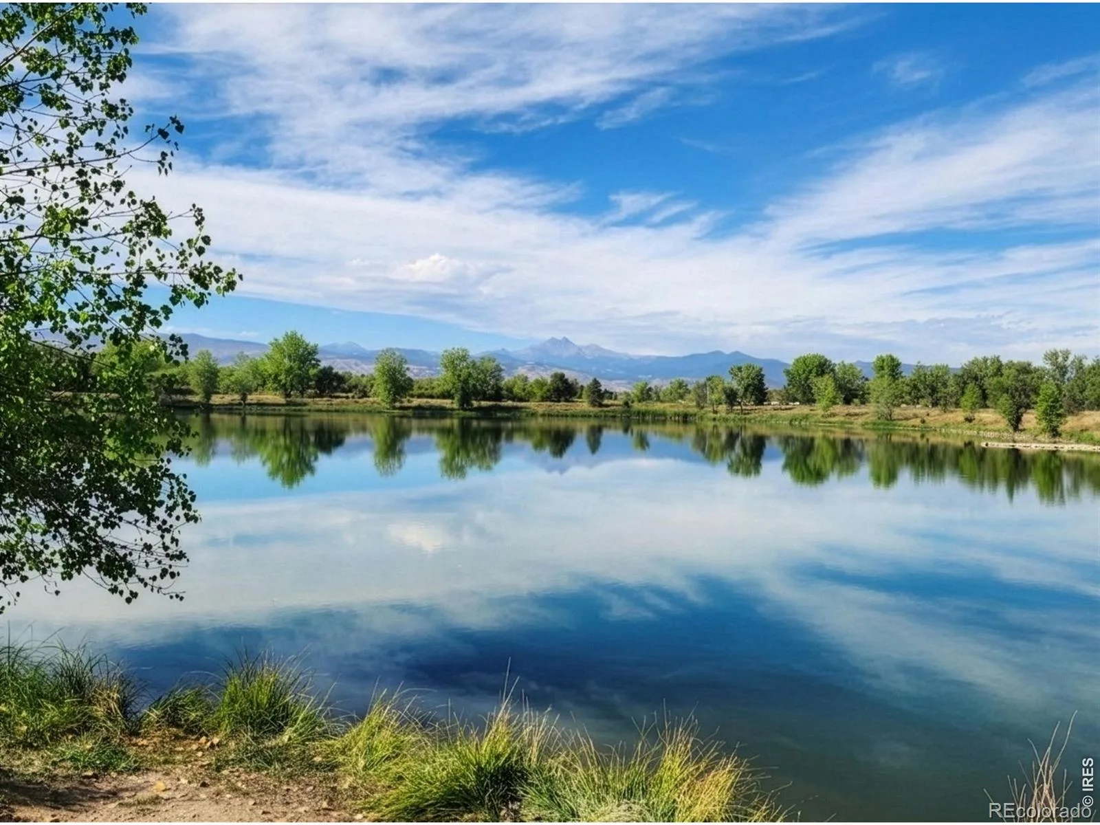 718 Widgeon Circle Longmont CO 80503 | MLS #RECIR1065120 07272026150351 1600 47