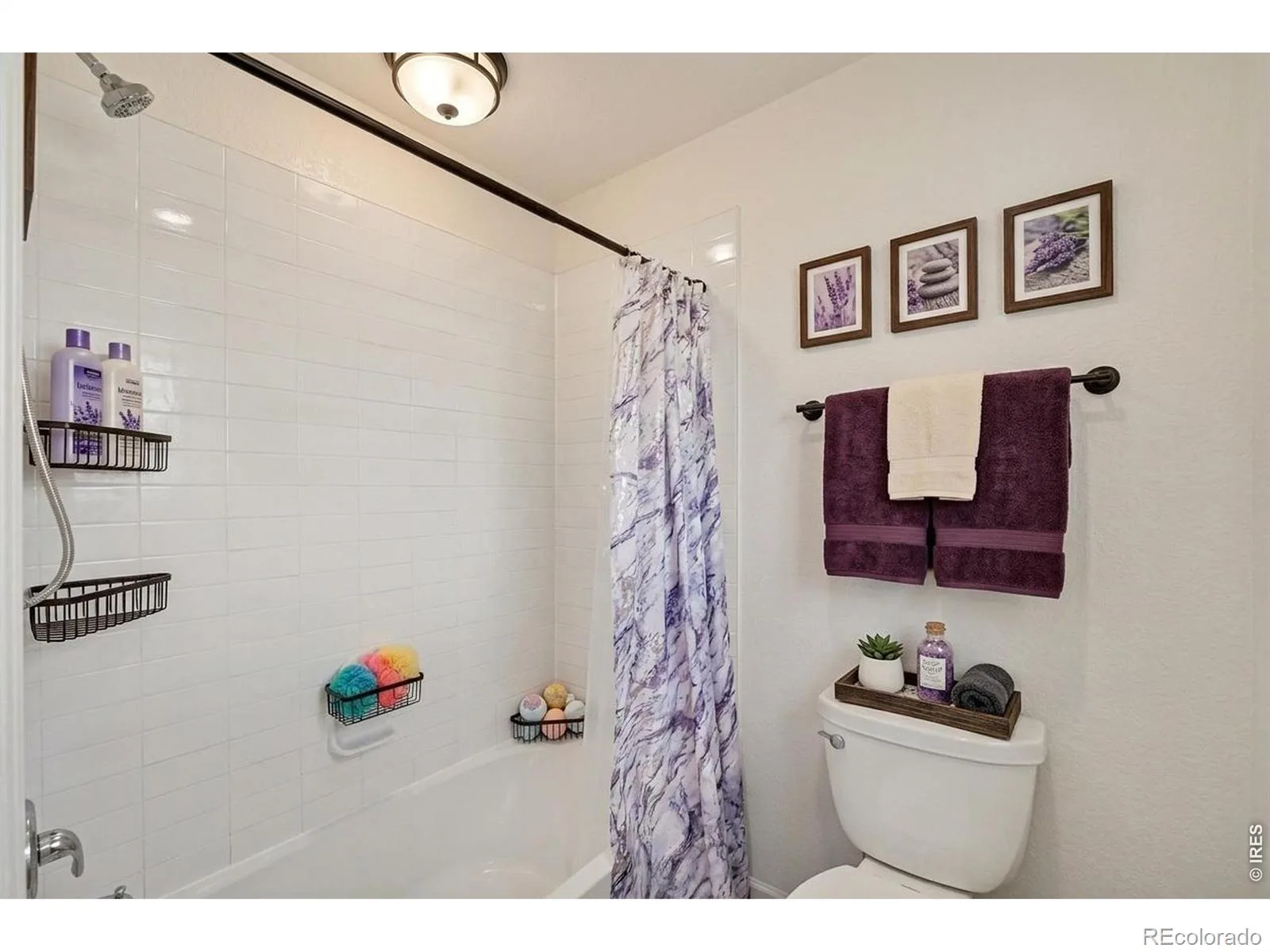 7414 Blue River Avenue Frederick CO 80530 | MLS #RECIR1065170 07282026031439 1600 21