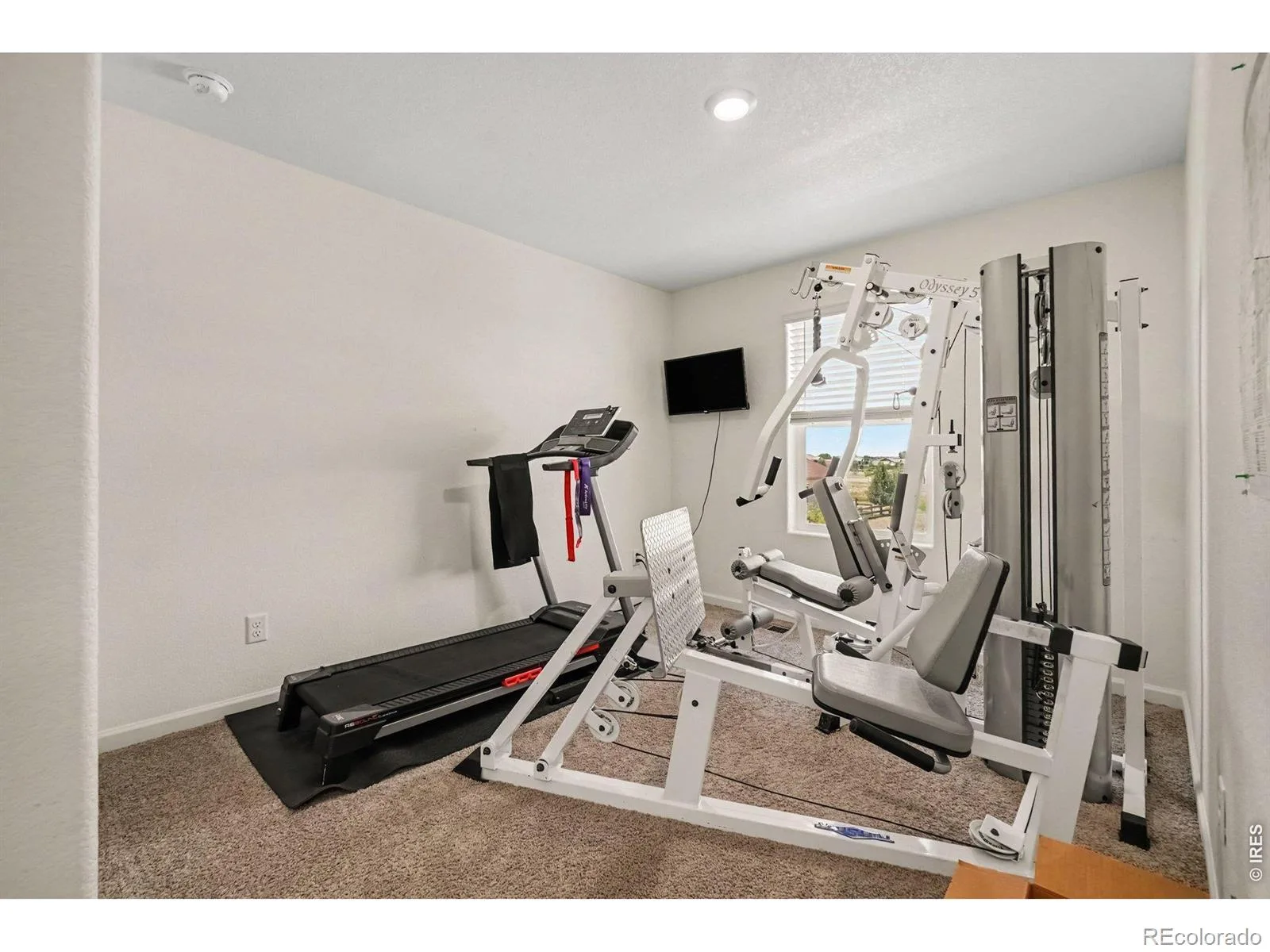 7414 Blue River Avenue Frederick CO 80530 | MLS #RECIR1065170 07282026031439 1600 31