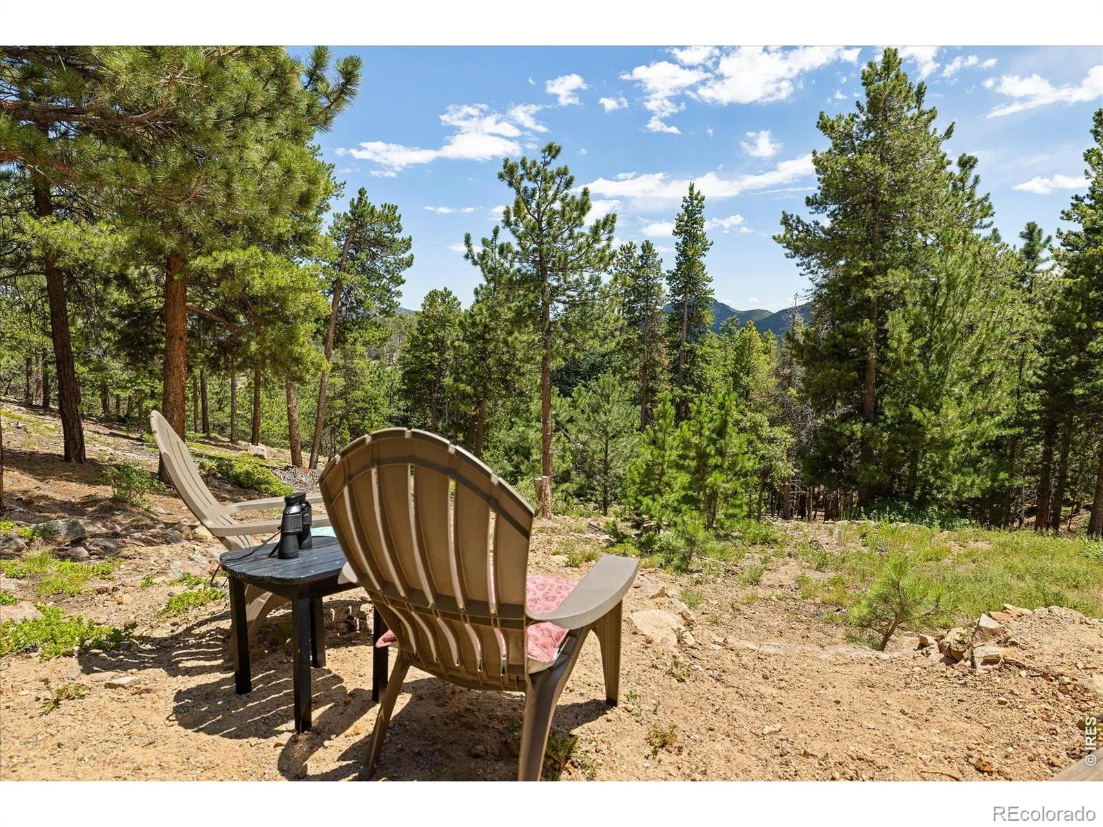 11506 Coal Creek Heights Drive Golden CO 80403 | MLS #RECIR1065210 08062026170858 1600 29