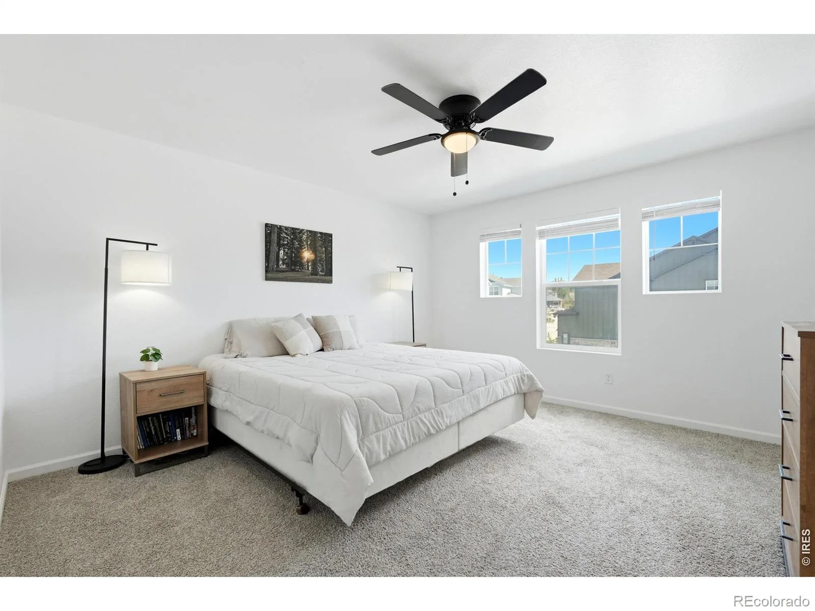 9915 Matchless Street Littleton CO 80125 | MLS #RECIR1065324 07302026160212 1600 13