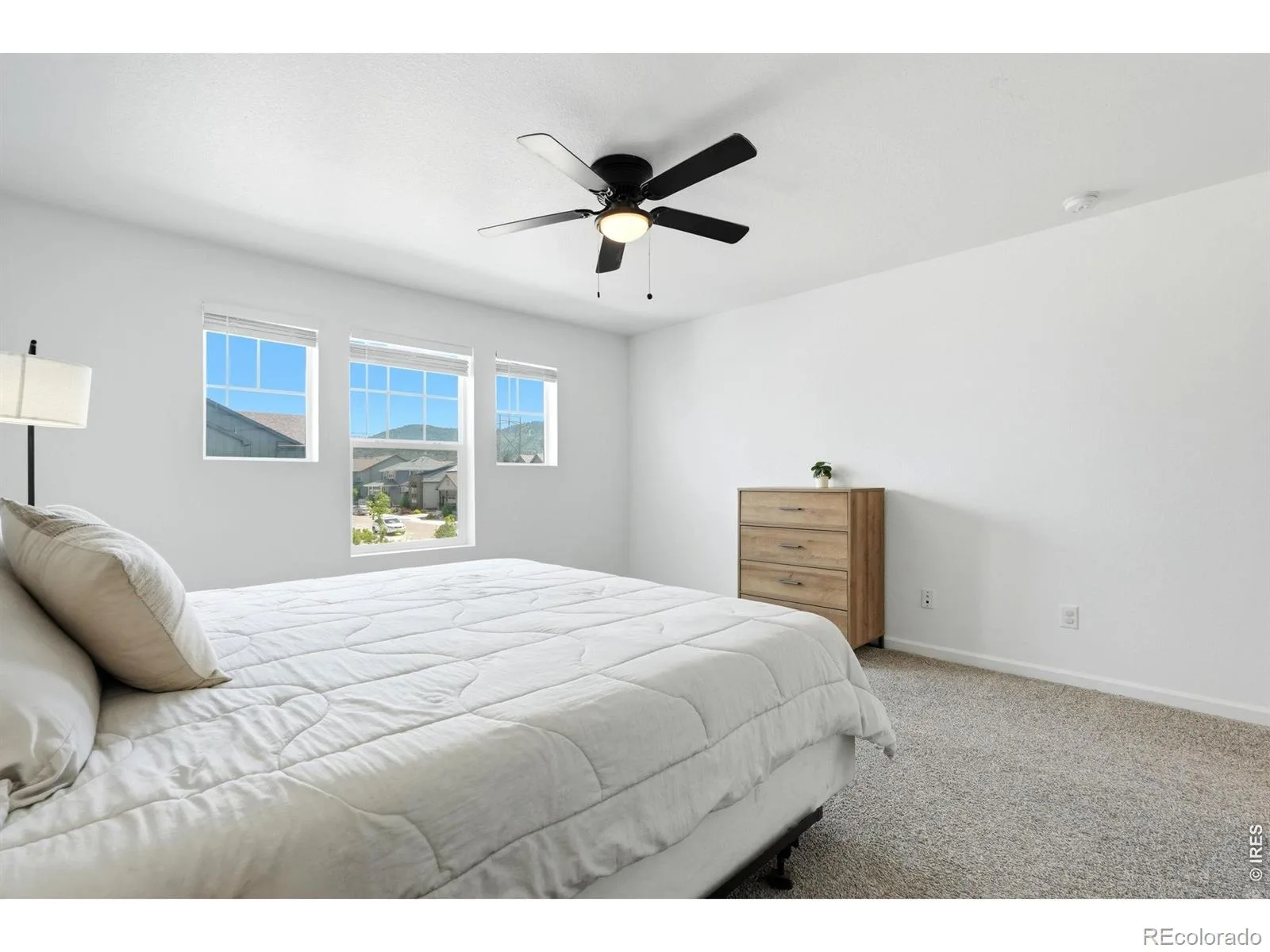 9915 Matchless Street Littleton CO 80125 | MLS #RECIR1065324 07302026160212 1600 14