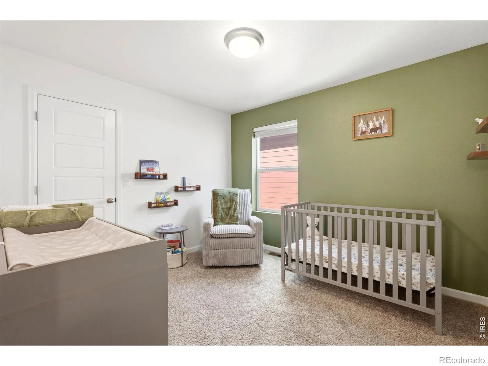 9915 Matchless Street Littleton CO 80125 | MLS #RECIR1065324 07302026160212 1600 18
