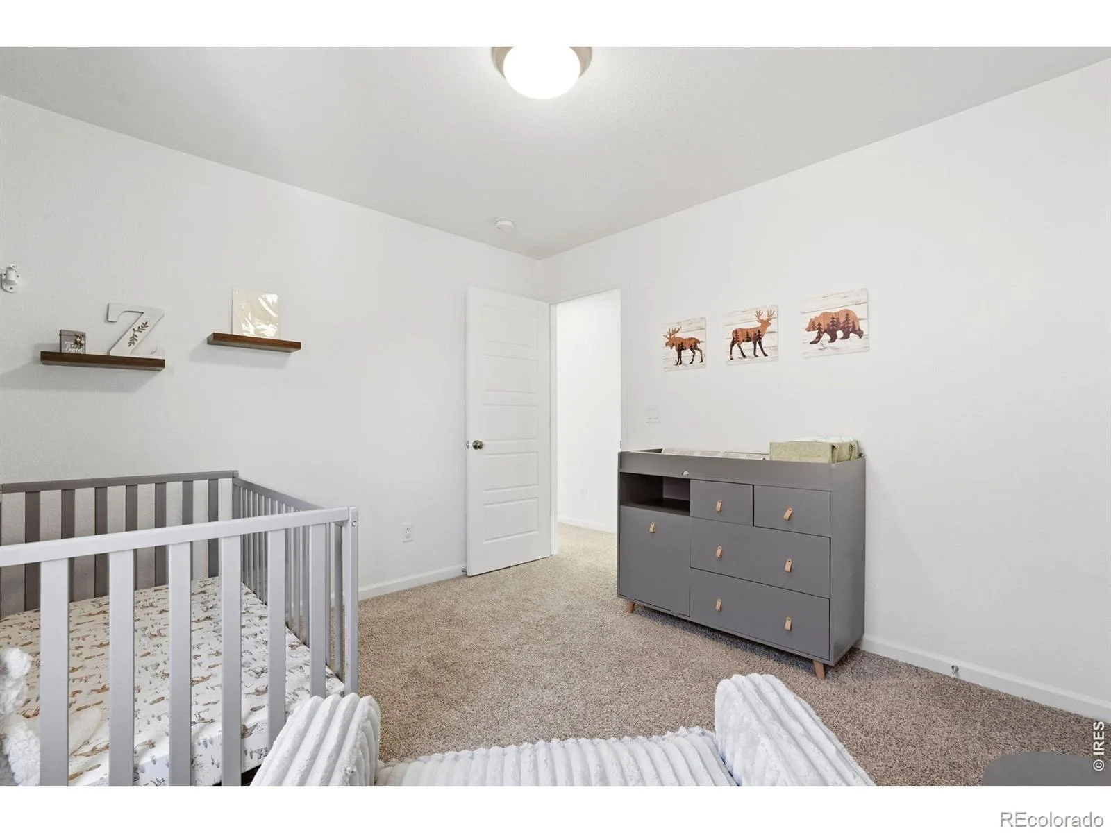 9915 Matchless Street Littleton CO 80125 | MLS #RECIR1065324 07302026160212 1600 22
