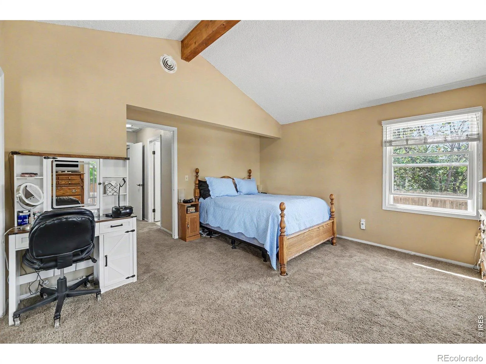 13017 Clayton Court Thornton CO 80241 | MLS #RECIR1065342 07302026173624 1600 18