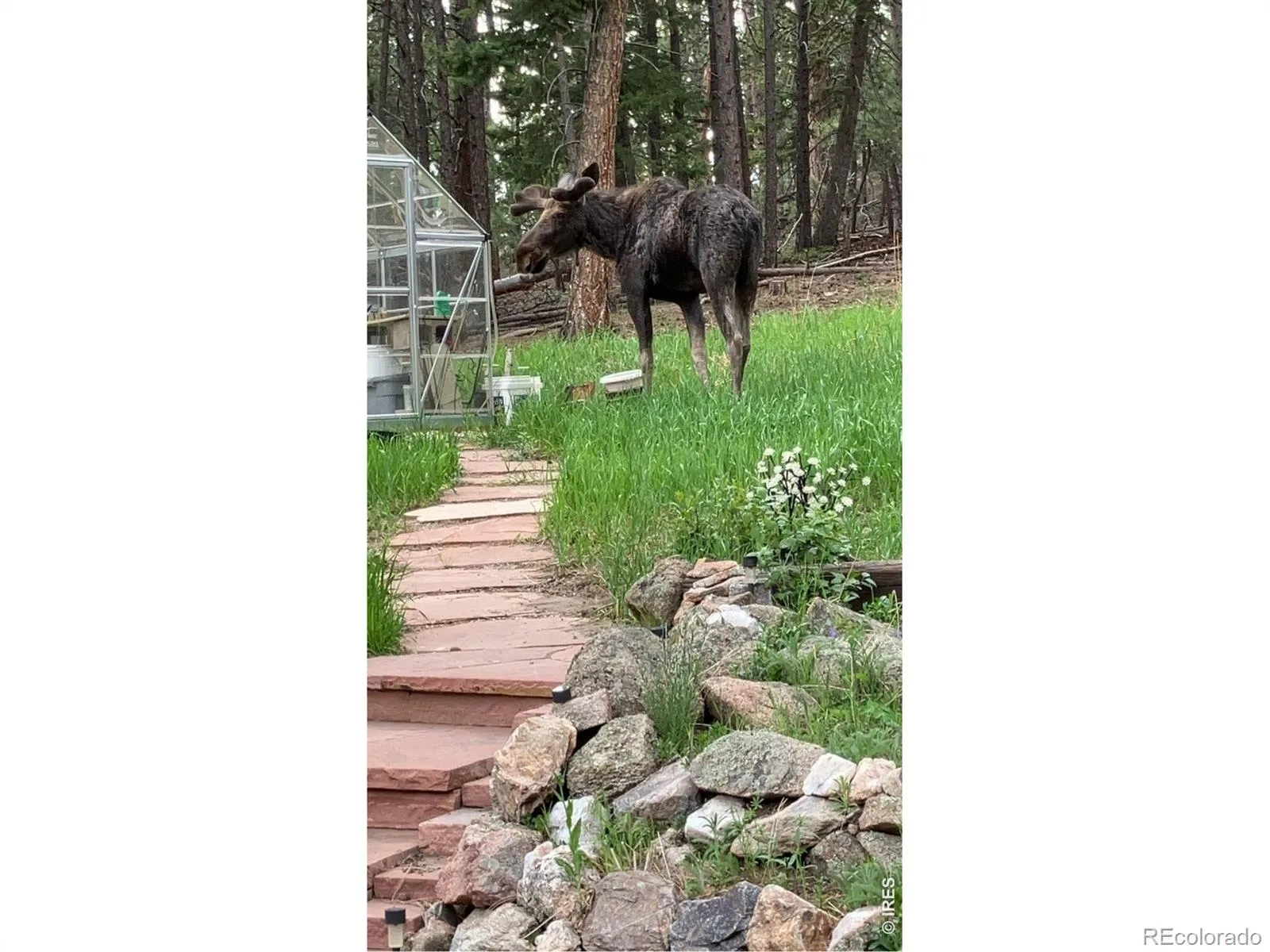 11988 Begole Circle Golden CO 80403 | MLS #RECIR1065385 08032026001438 1600 13