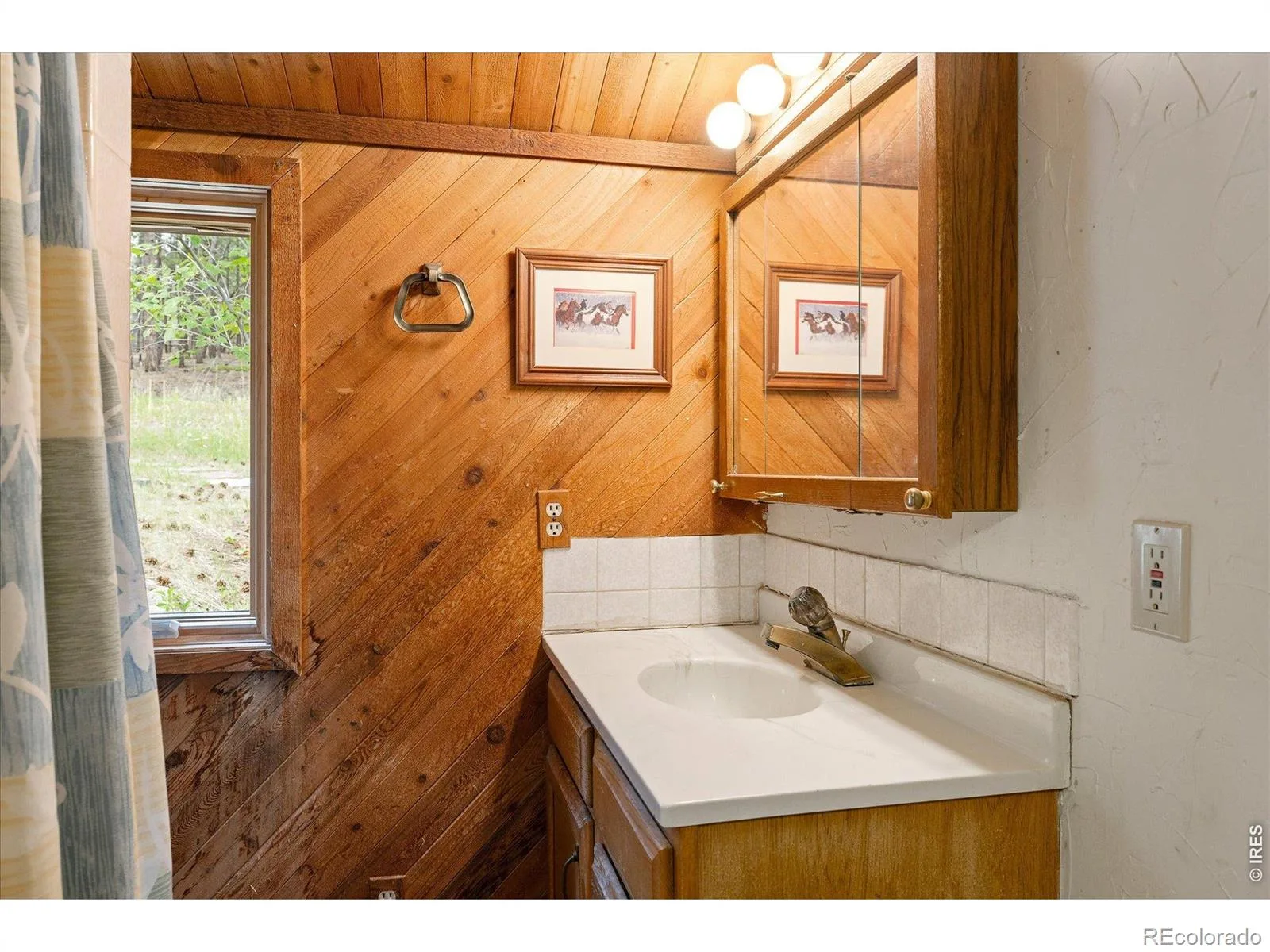 11988 Begole Circle Golden CO 80403 | MLS #RECIR1065385 08032026001438 1600 37