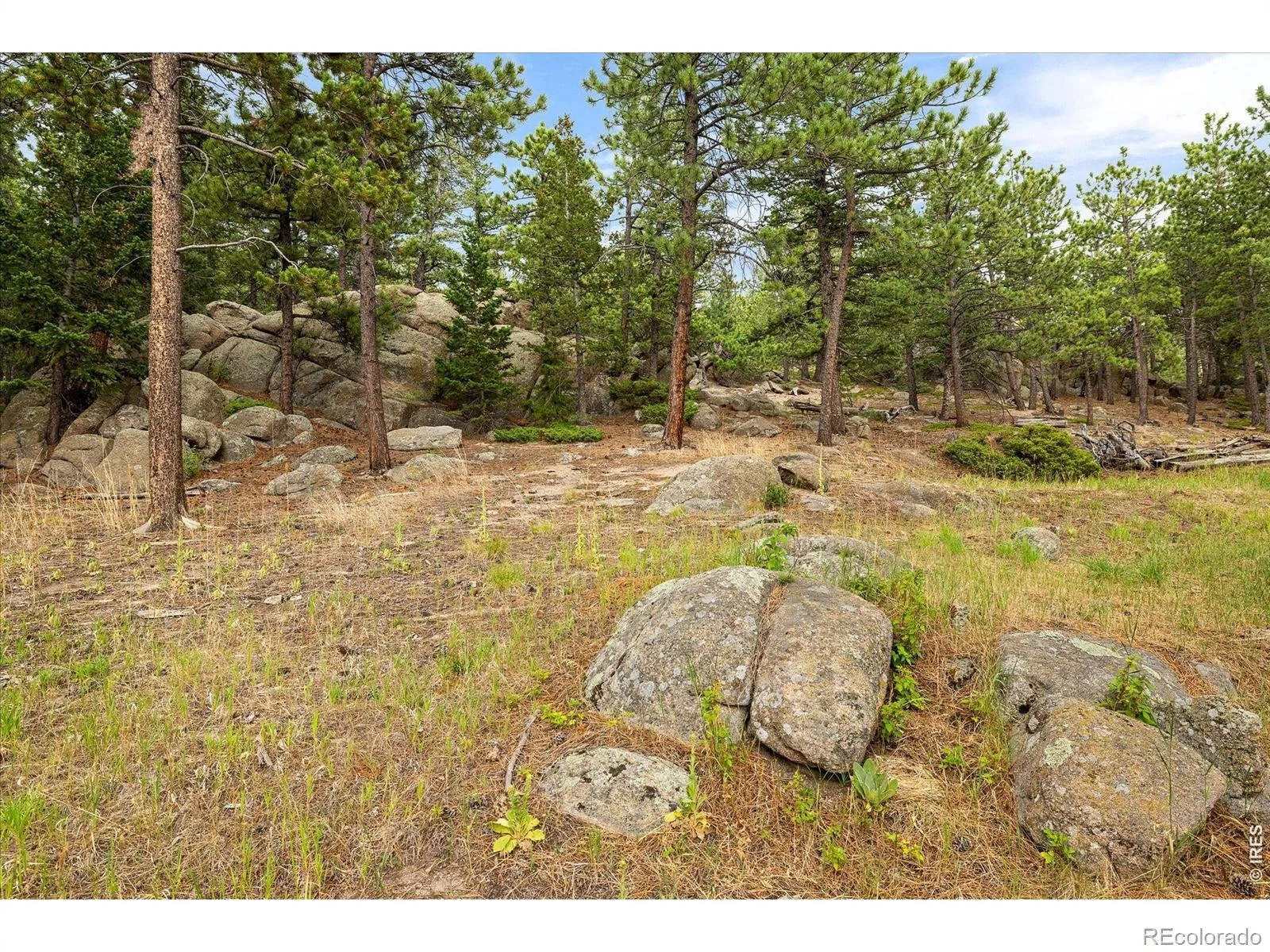 11988 Begole Circle Golden CO 80403 | MLS #RECIR1065385 08032026001438 1600 39