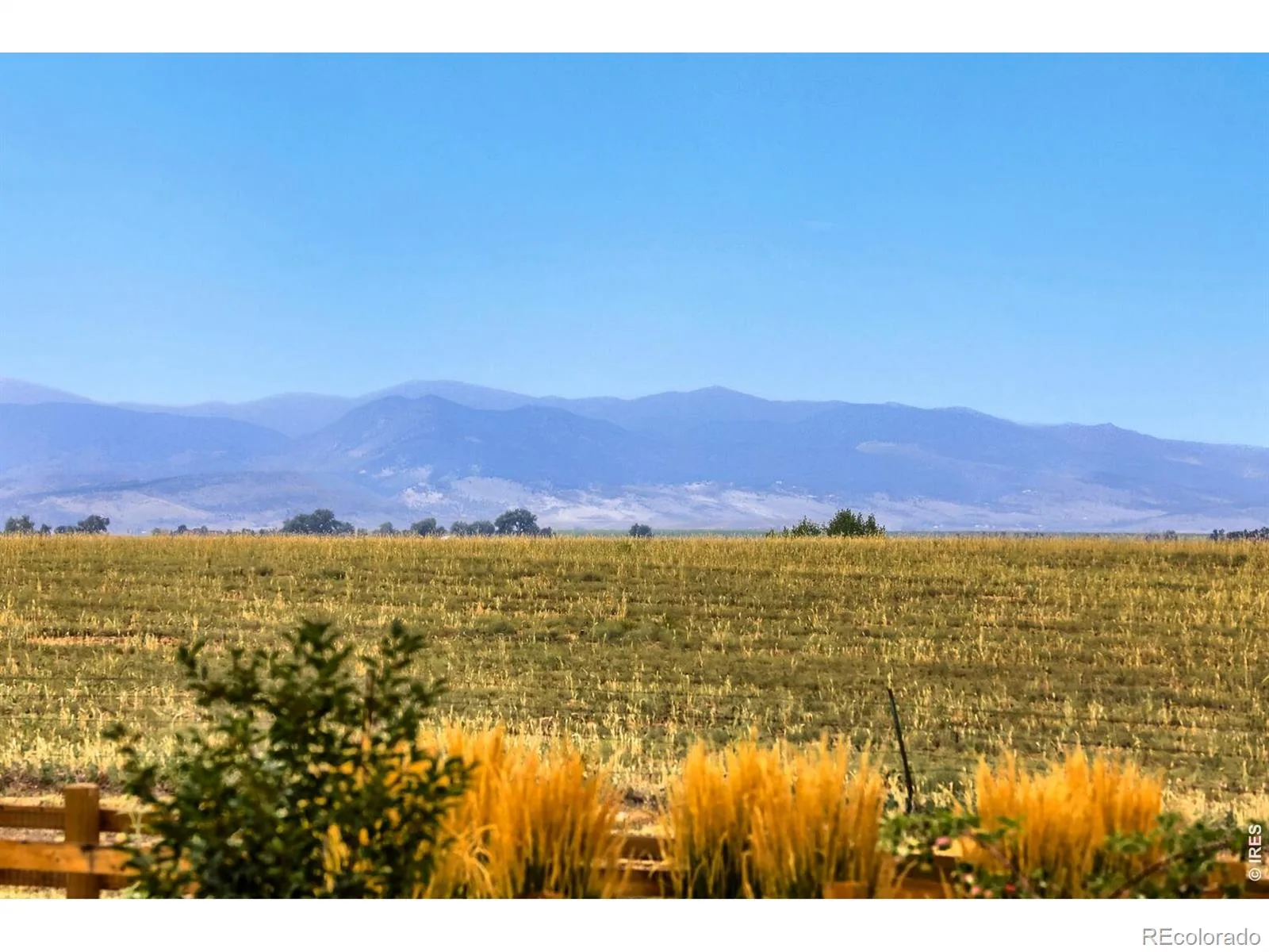 1981 Miranda Road Erie CO 80516 | MLS #RECIR1065404 08132026005146 1600 35