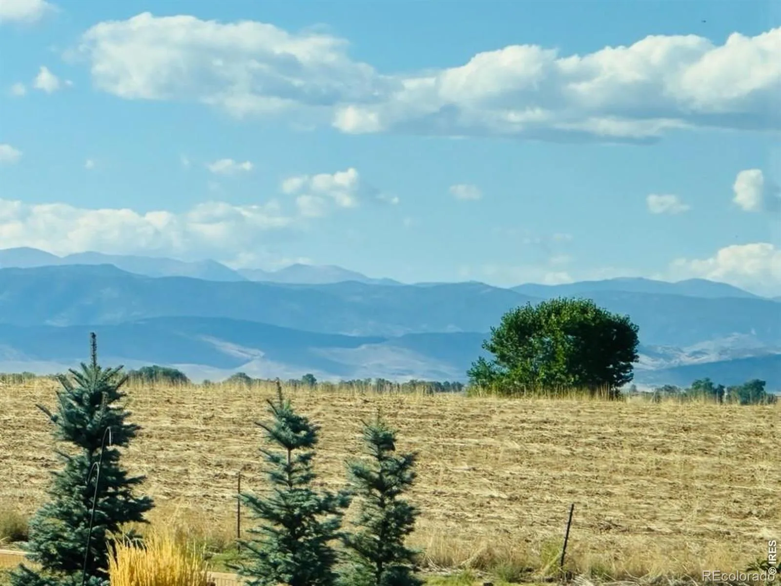 1981 Miranda Road Erie CO 80516 | MLS #RECIR1065404 08132026005146 1600 36