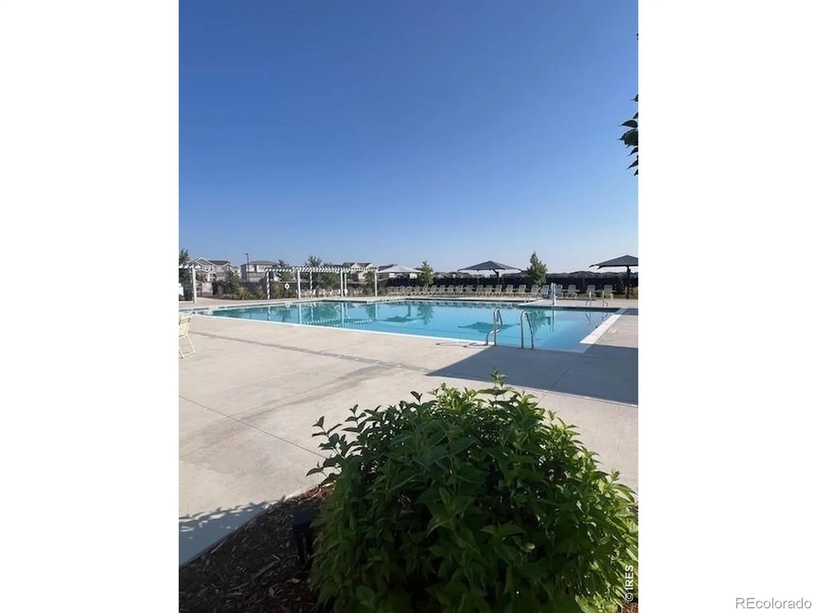 1981 Miranda Road Erie CO 80516 | MLS #RECIR1065404 08132026005146 1600 39