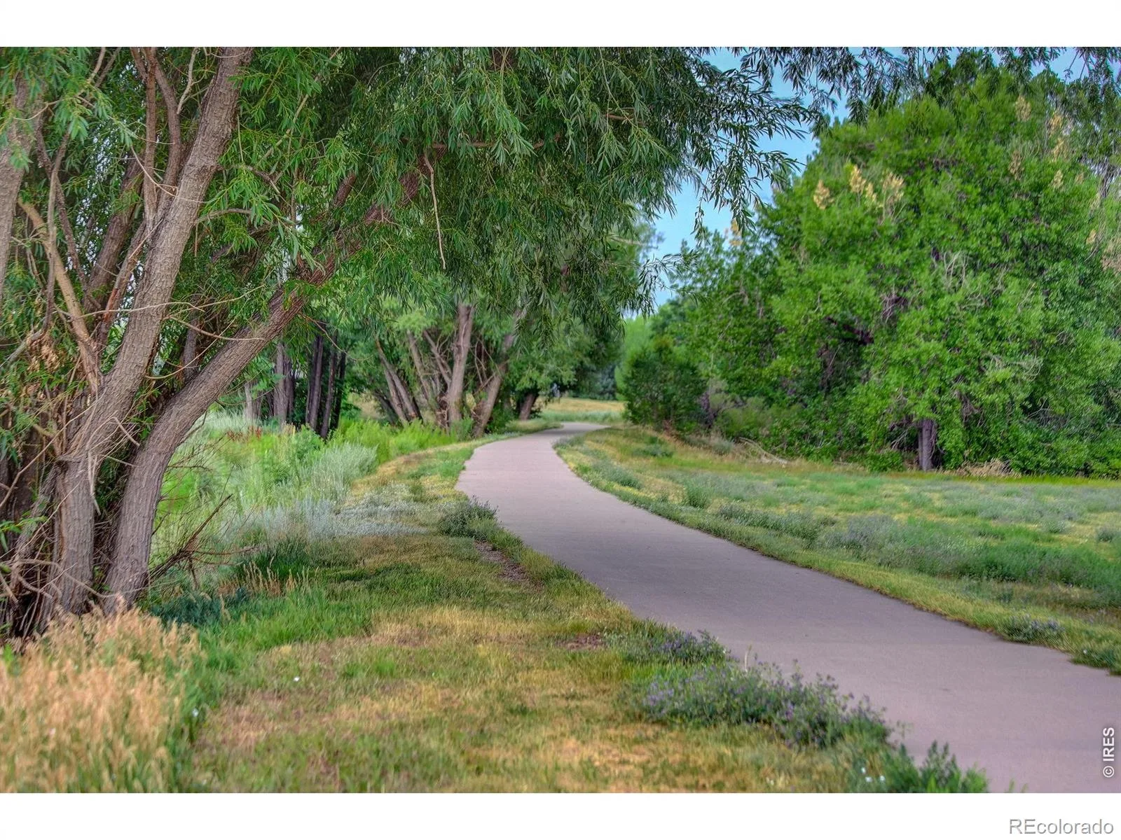 2498 W 111th Place Westminster CO 80234 | MLS #REC7767715 07312026043847 1600 37