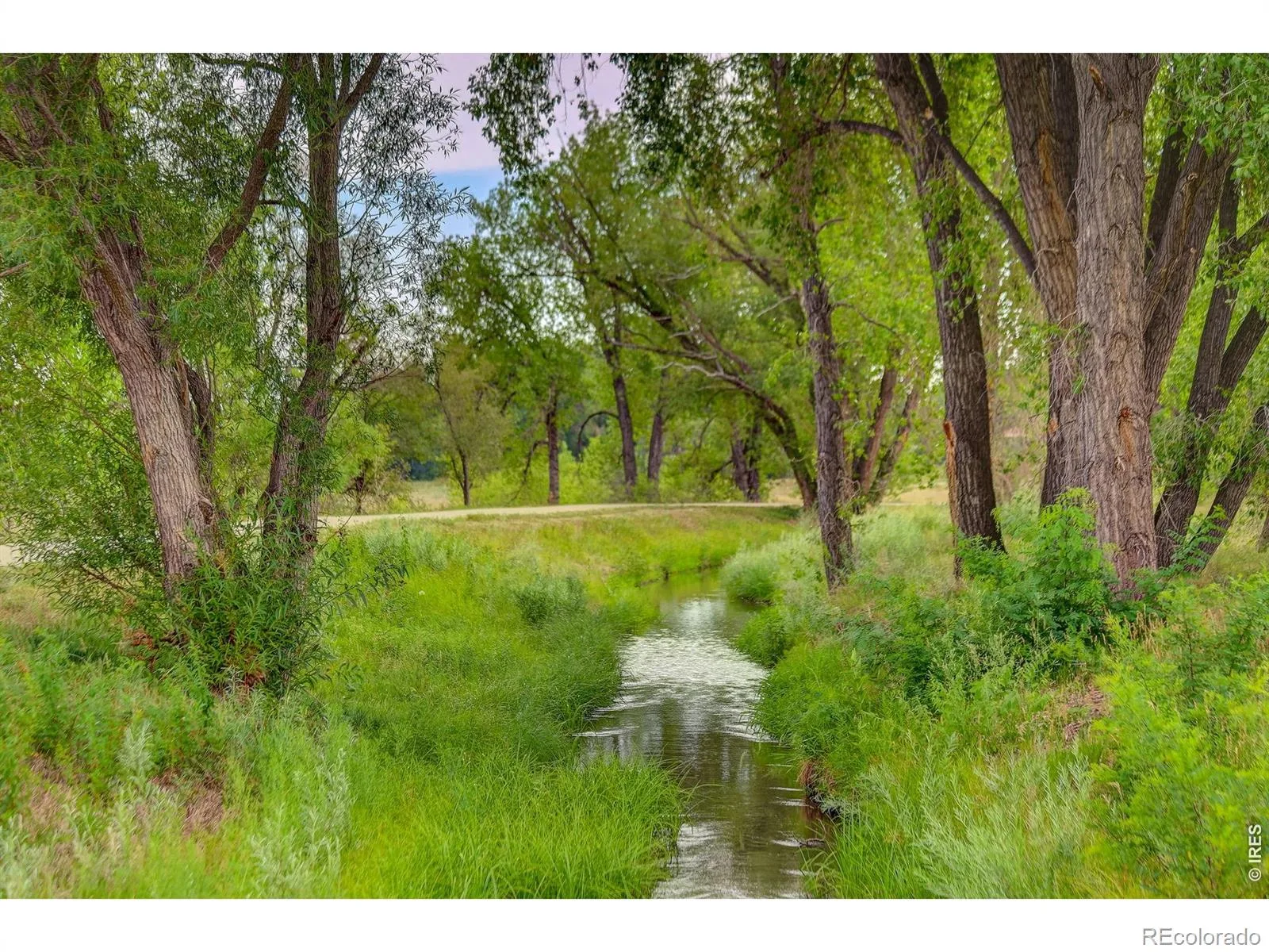 2498 W 111th Place Westminster CO 80234 | MLS #REC7767715 07312026043847 1600 39