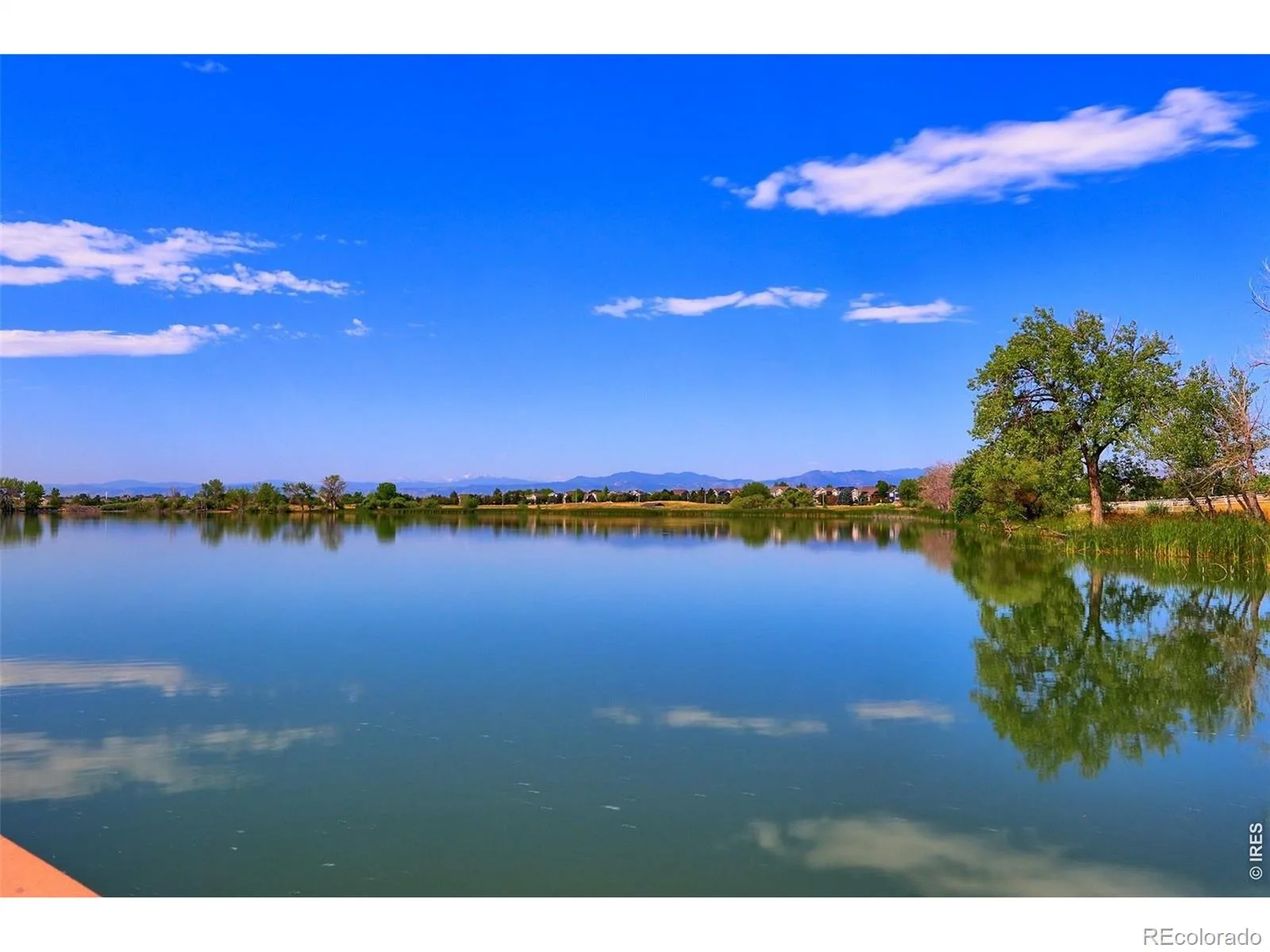 14363 Waterside Lane Broomfield CO 80023 | MLS #REC2170529 08102026002447 1600 49