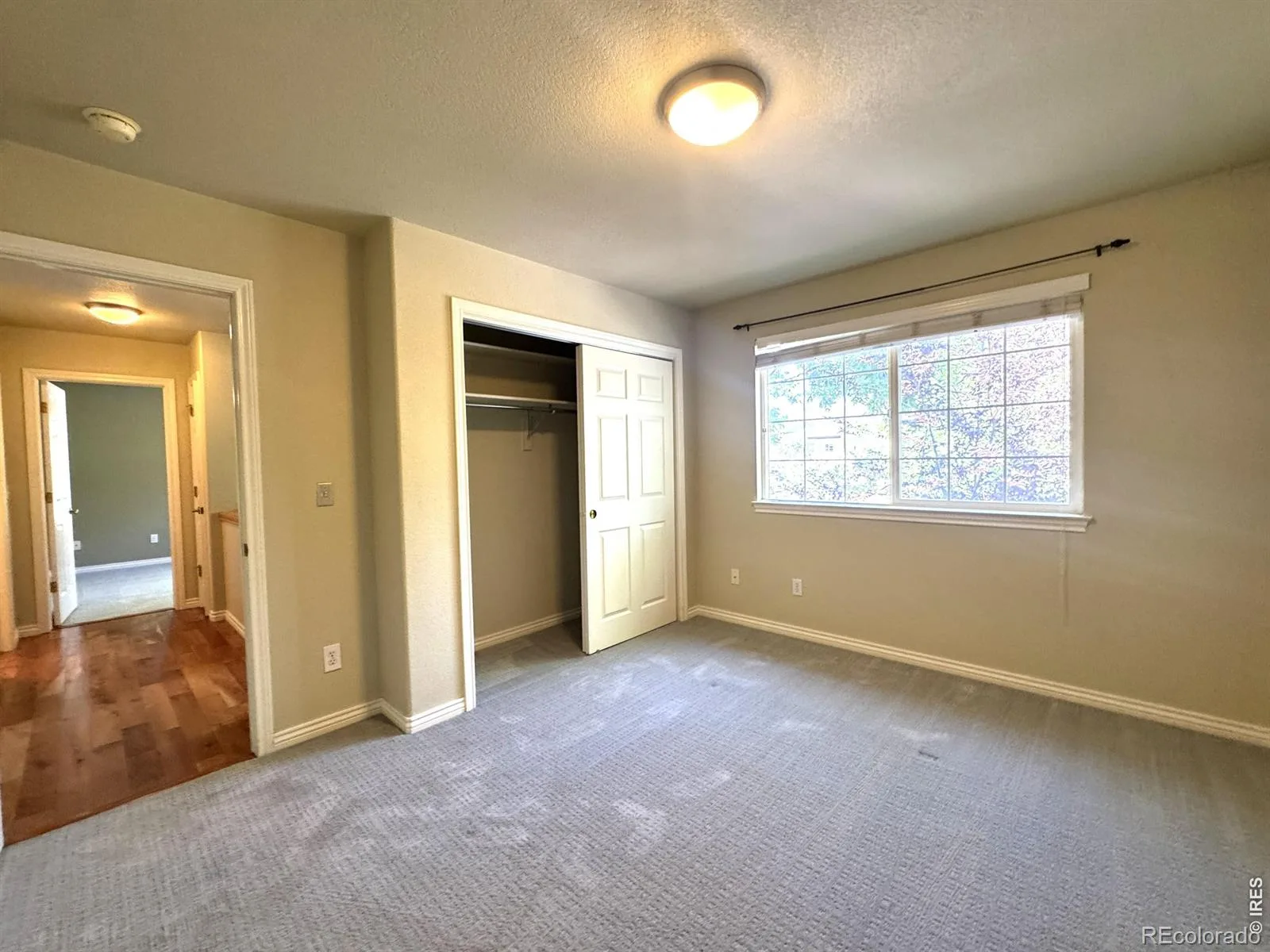 1202 Della Street Longmont CO 80501 | MLS #RECIR1065515 07312026214347 1600 23
