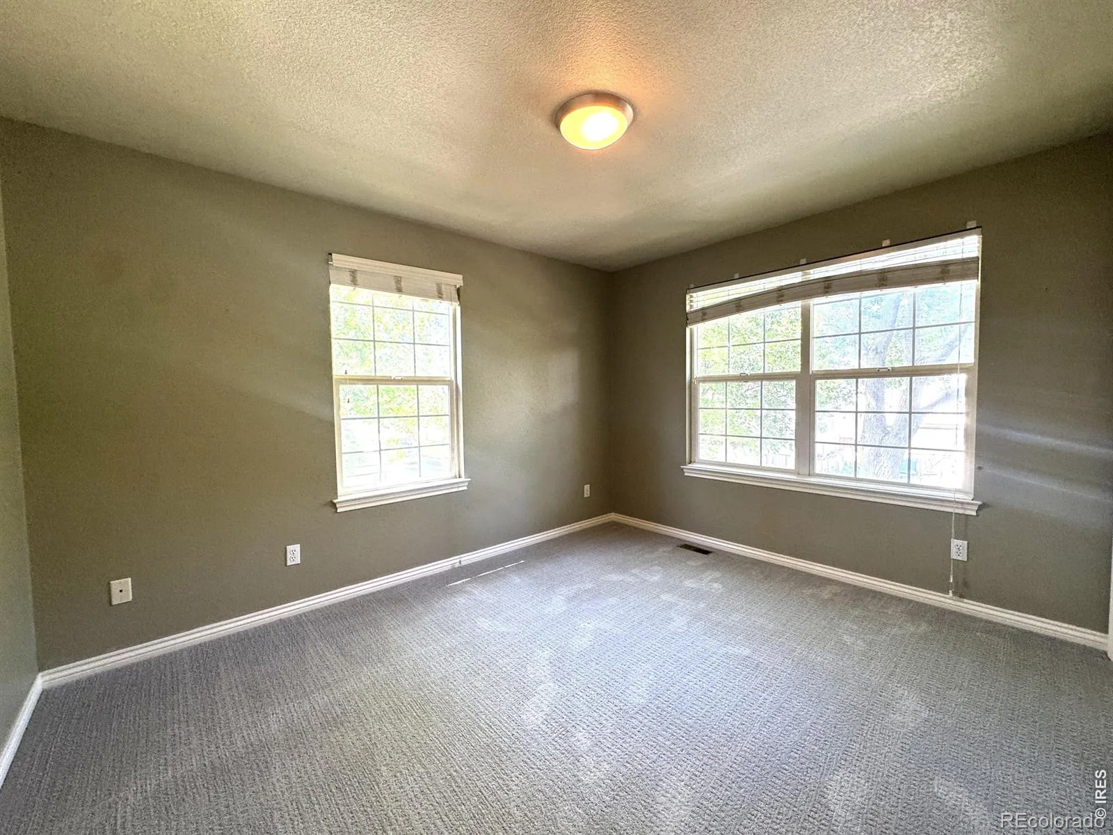 1202 Della Street Longmont CO 80501 | MLS #RECIR1065515 07312026214347 1600 24