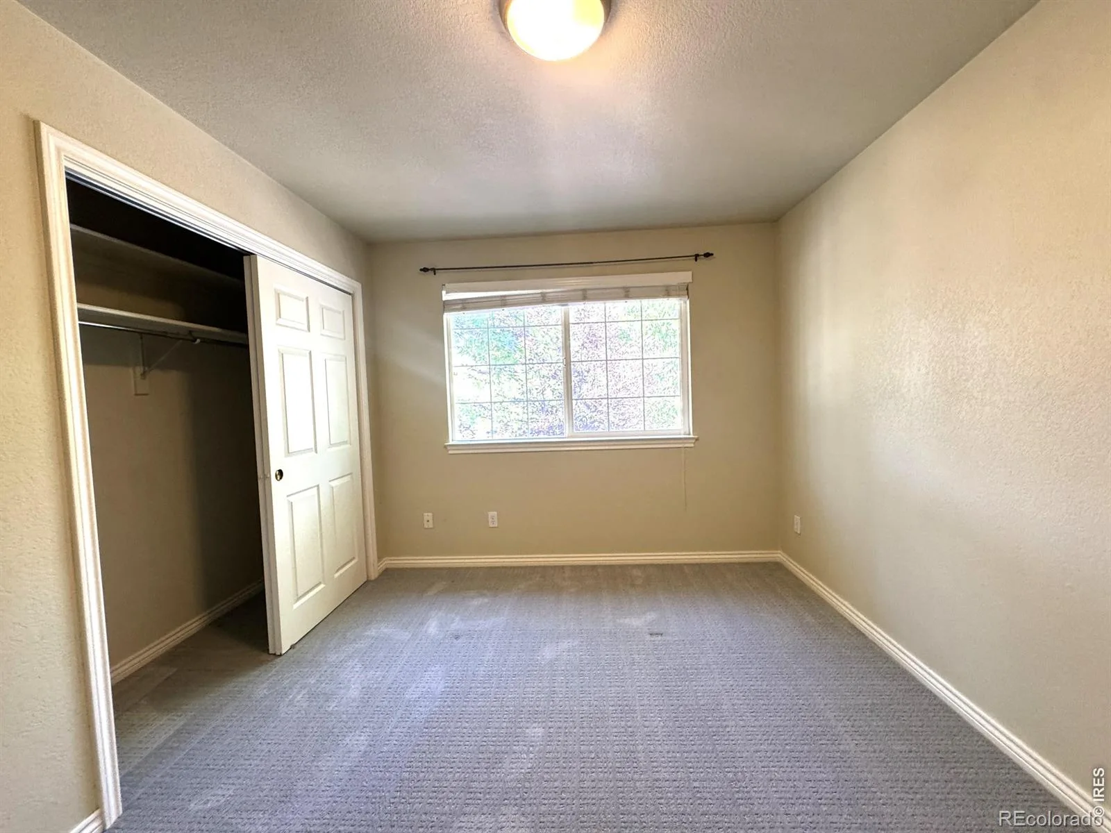 1202 Della Street Longmont CO 80501 | MLS #RECIR1065515 07312026214347 1600 26