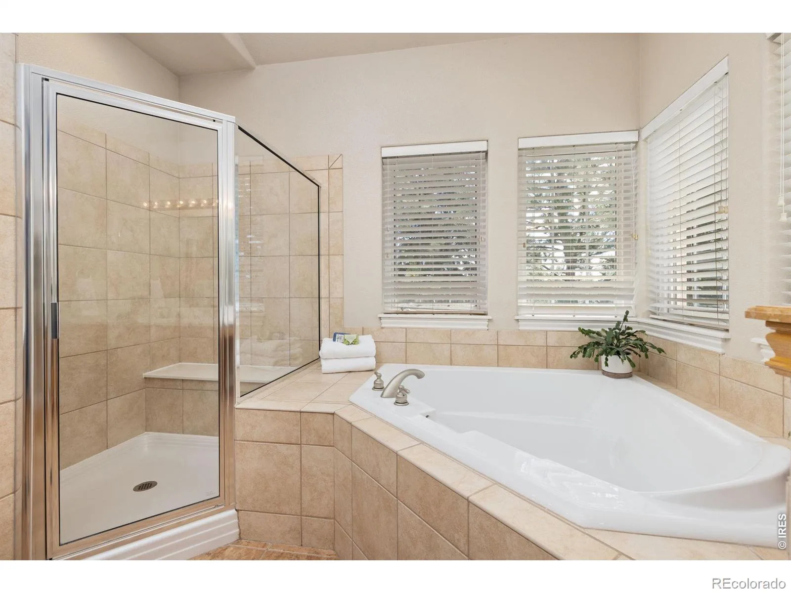 1001 Wyndemere Circle Longmont CO 80504 | MLS #RECIR1065519 07312026214512 1600 25