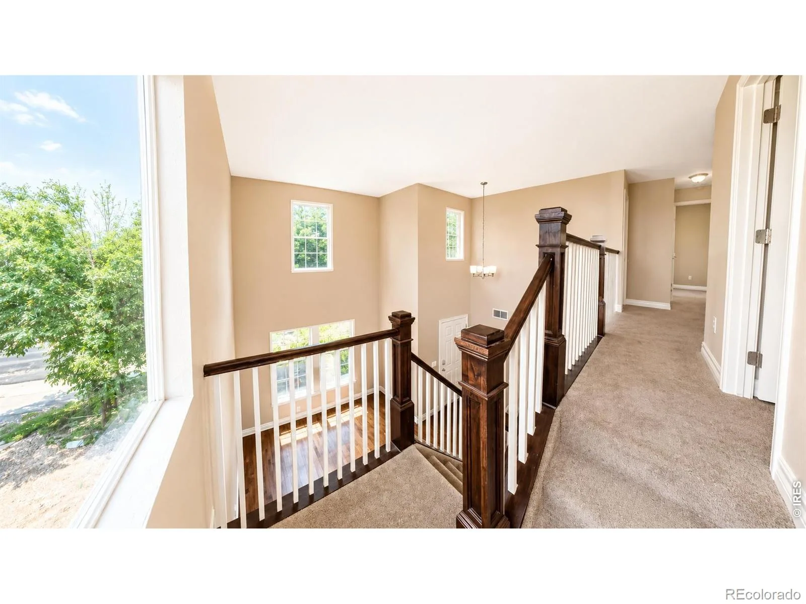 2123 E 100th Place Thornton CO 80229 | MLS #RECIR1065562 08012026031629 1600 17