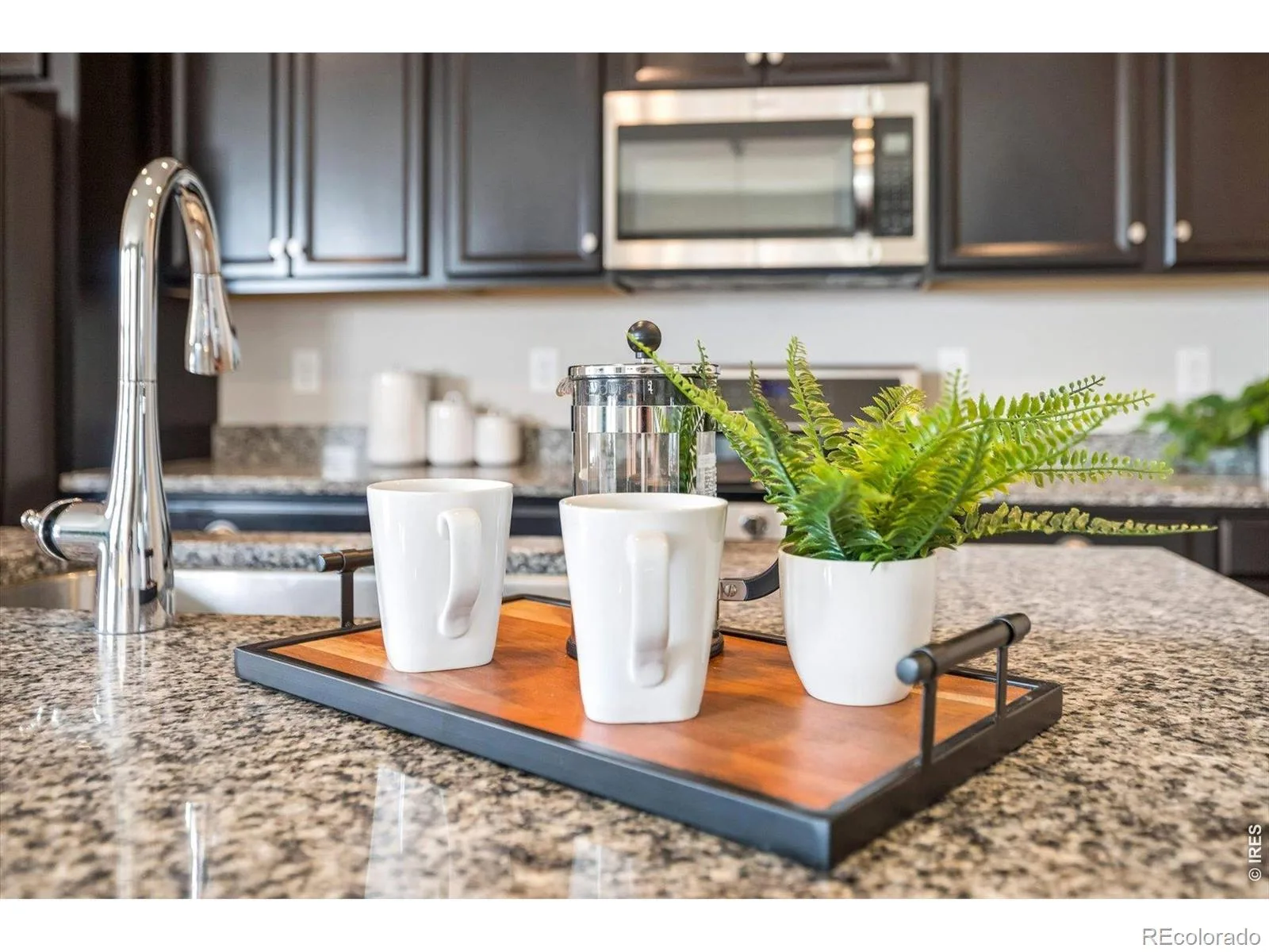 16424 Alcott Place Broomfield CO 80023 | MLS #RECIR1065584 08012026210120 1600 18