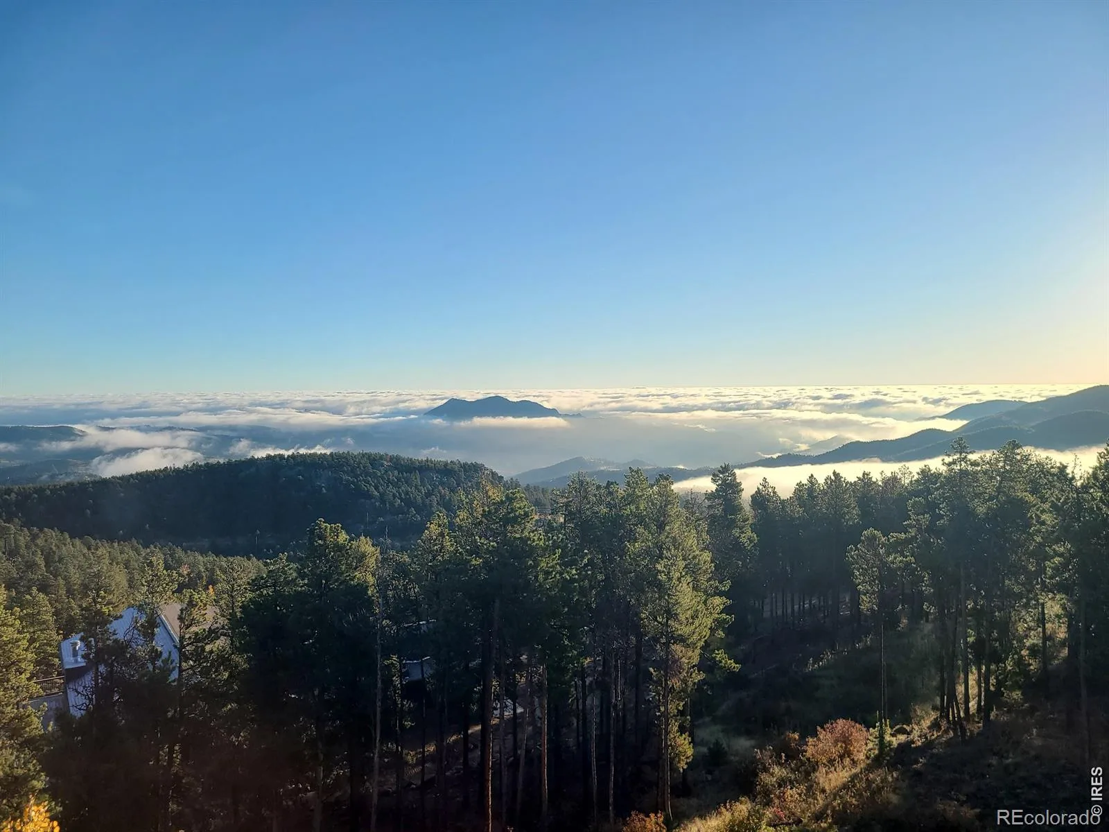 800 Divide View Drive Golden CO 80403 | MLS #RECIR1065612 08122026002753 1600 20
