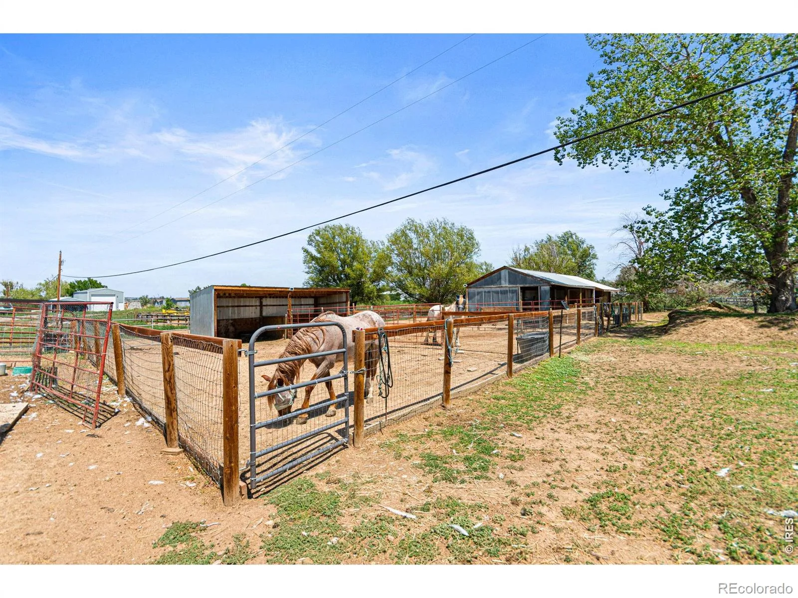 2012 Charro Avenue Longmont CO 80504 | MLS #RECIR1065649 08292026145307 1600 11