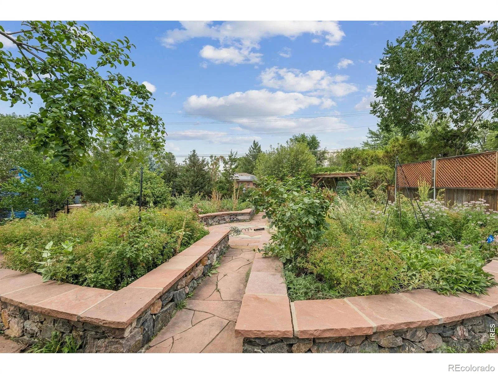 10355 W 13th Place Lakewood CO 80215 | MLS #RECIR1065807 08182026200005 1600 37