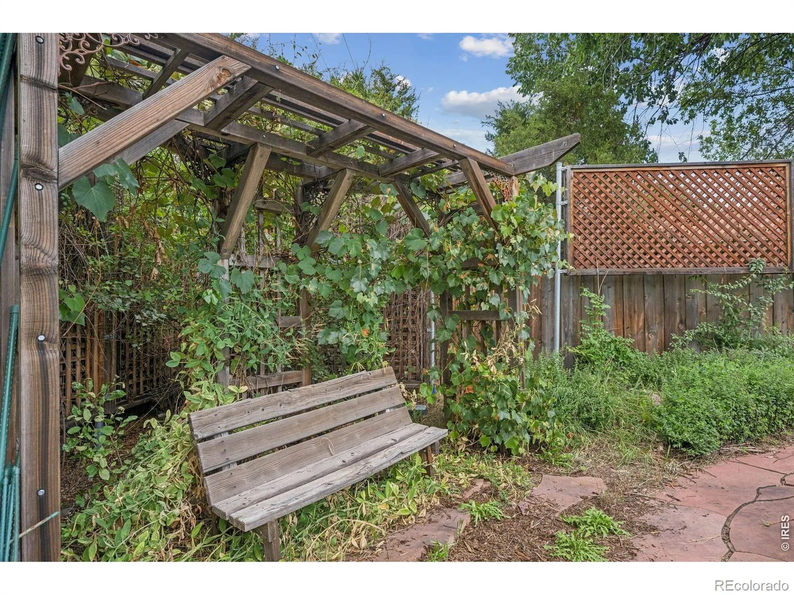10355 W 13th Place Lakewood CO 80215 | MLS #RECIR1065807 08182026200005 1600 38